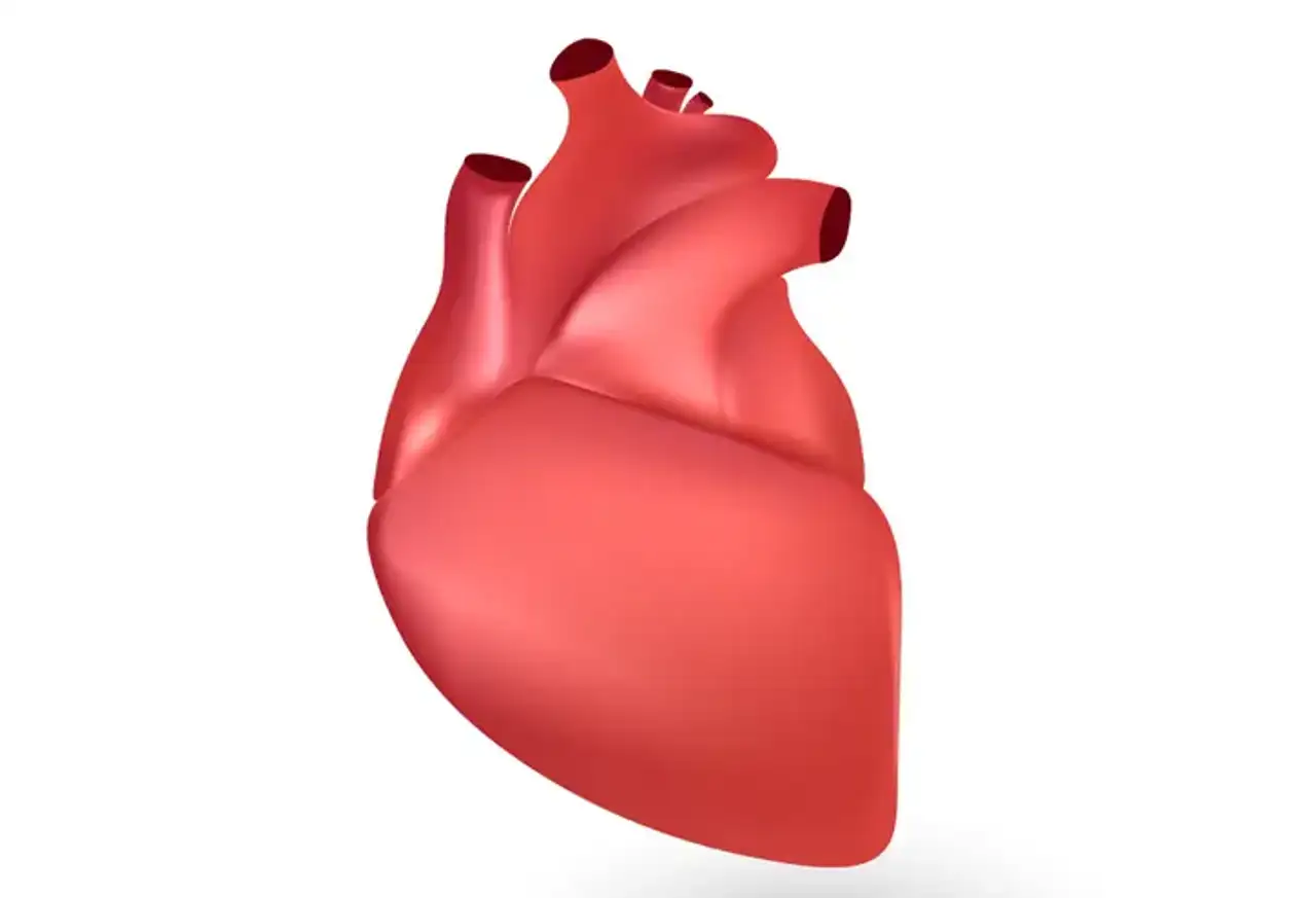 Single Ventricle Defects Surgery
