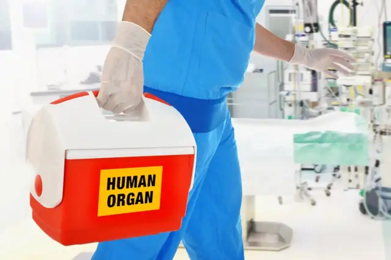 Organ Transplantology