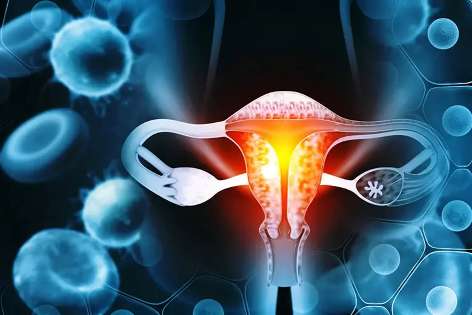 Gynecology services
