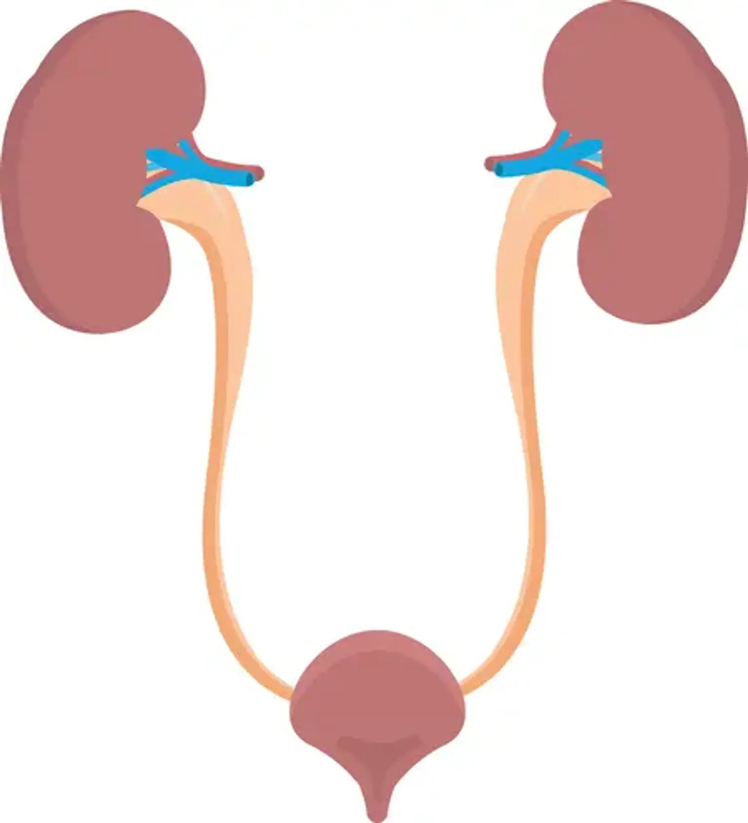 Ureteral Reimplantation Surgery