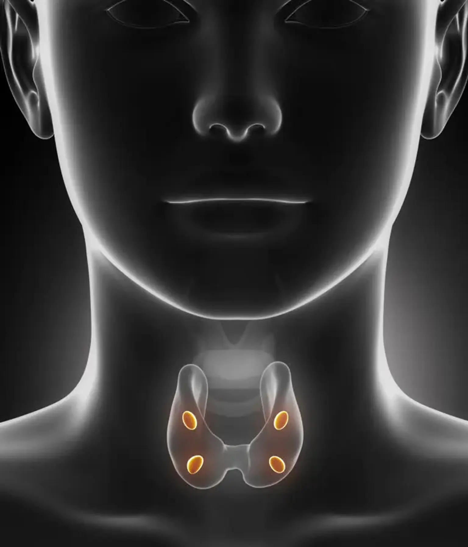 Parathyroid Disease