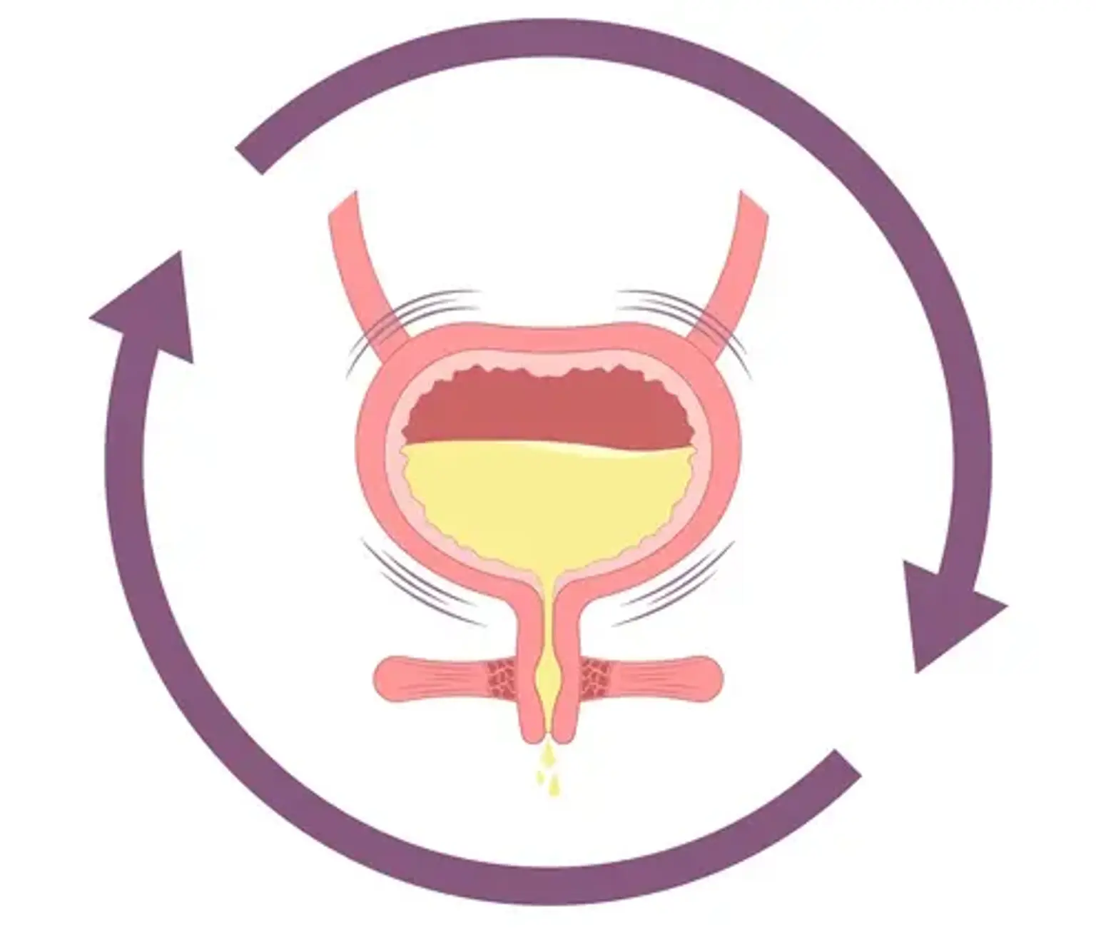 Pediatric voiding dysfunction