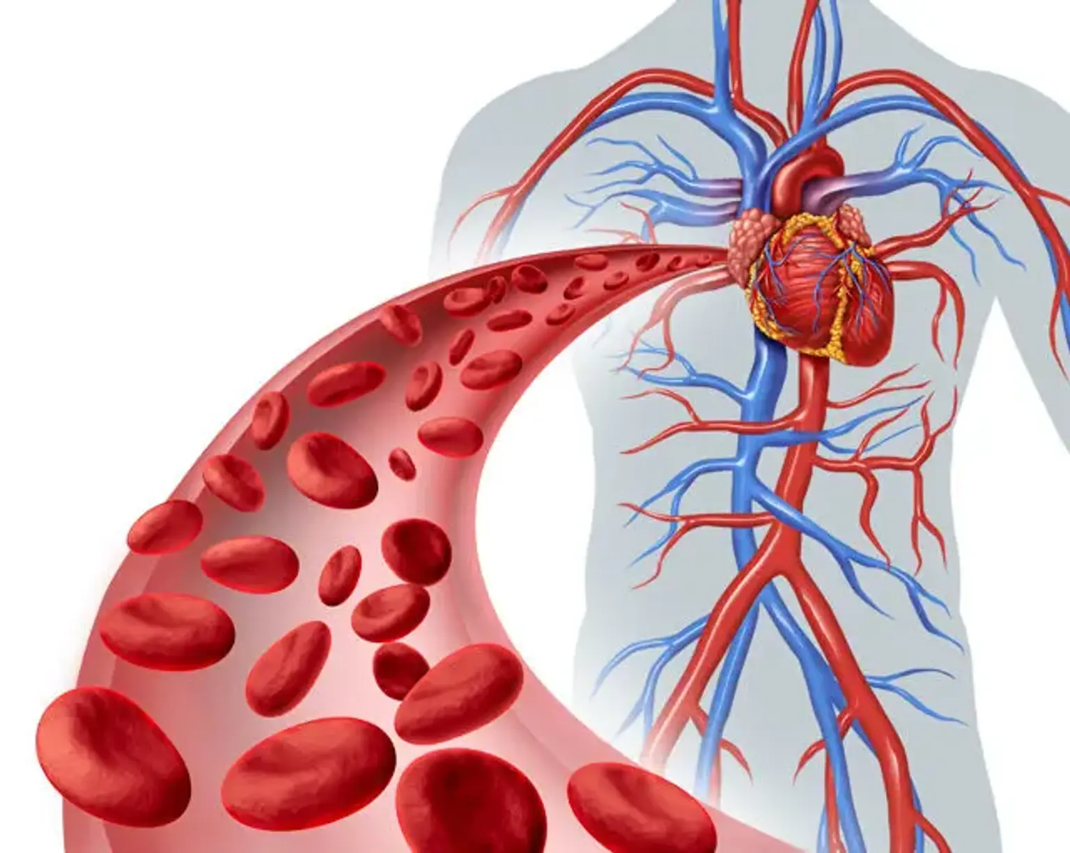 Endovascular Surgery