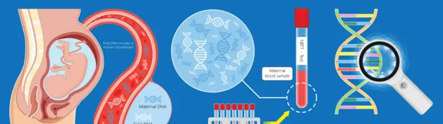 Cytogenetic analysis of chorionic villi