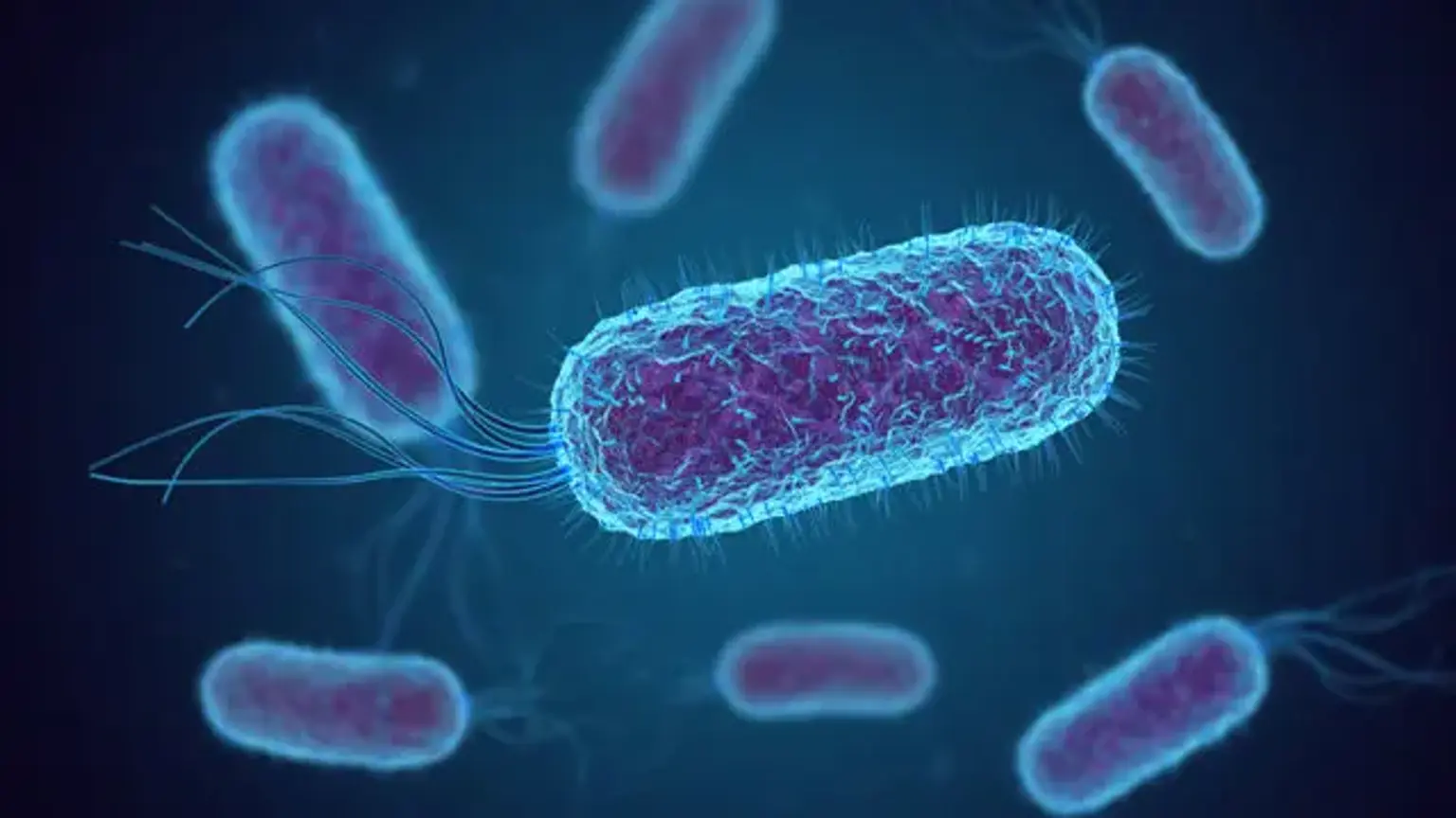 E-coli