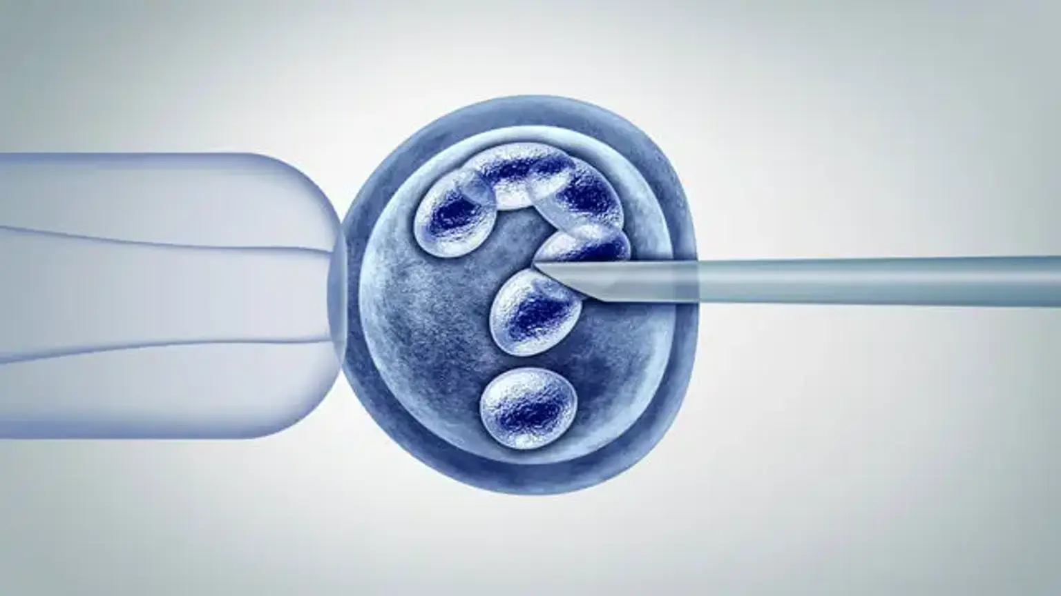 Embryo Transfer Procedure, image size:1536x864