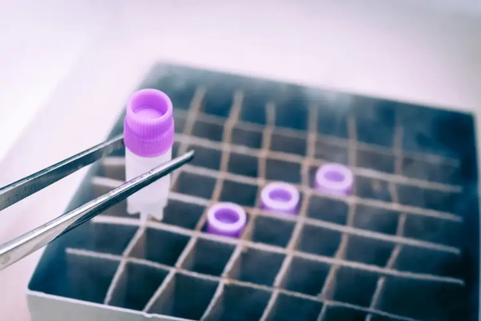 Cryopreservation of Oocytes