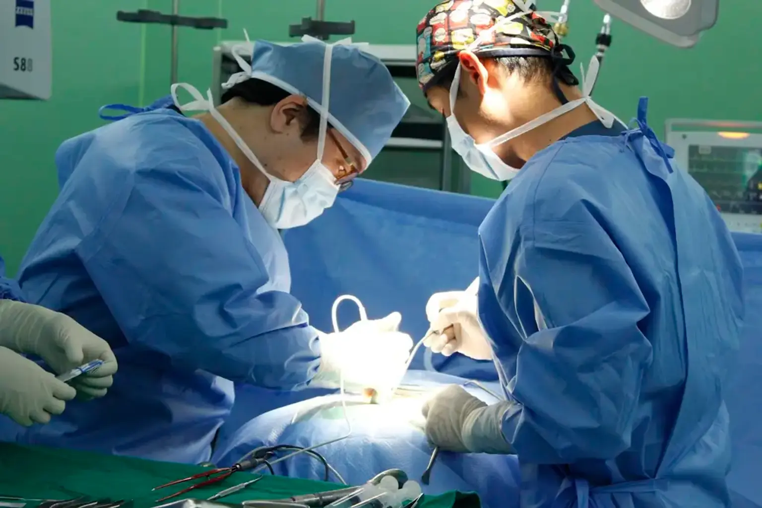 Xola mushukni onanizm qiladi