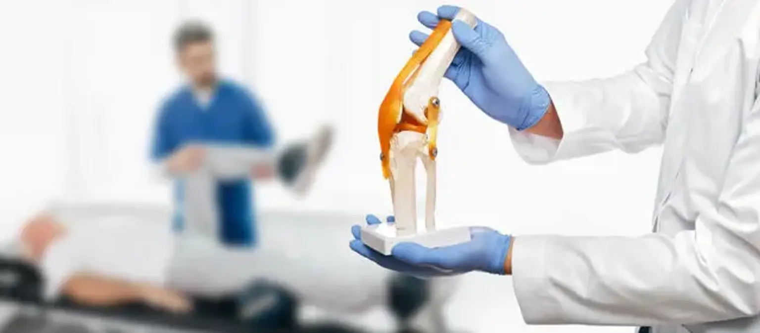 Keyhole knee surgery Anatomy