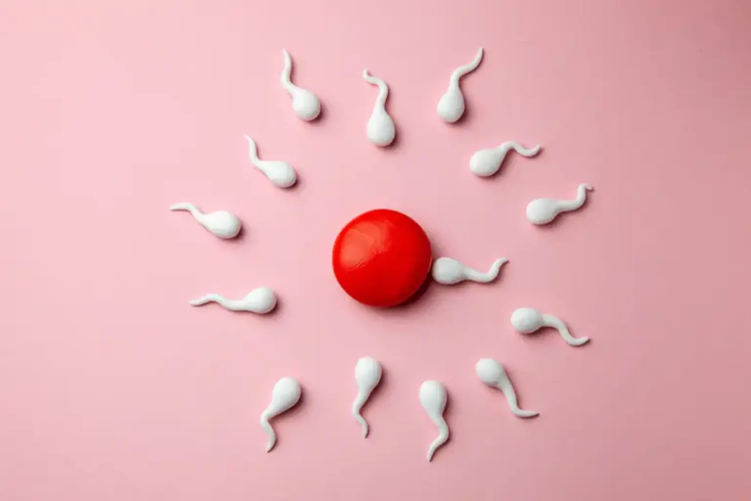 Fertility Preservation