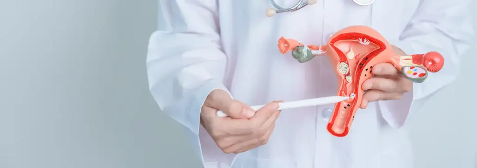 LEEP Procedure Recovery in Korea: A Patient's Guide