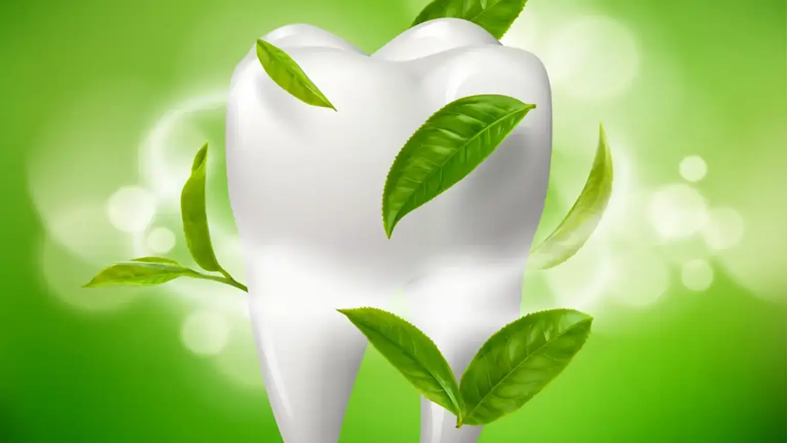 Holistic Dentistry