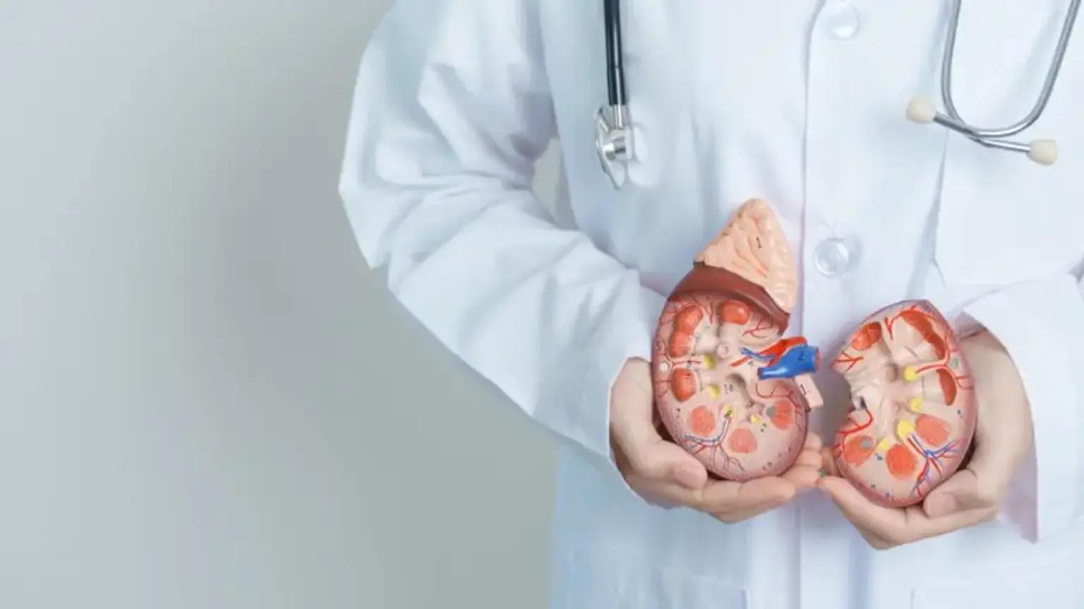 IgA Nephropathy Management