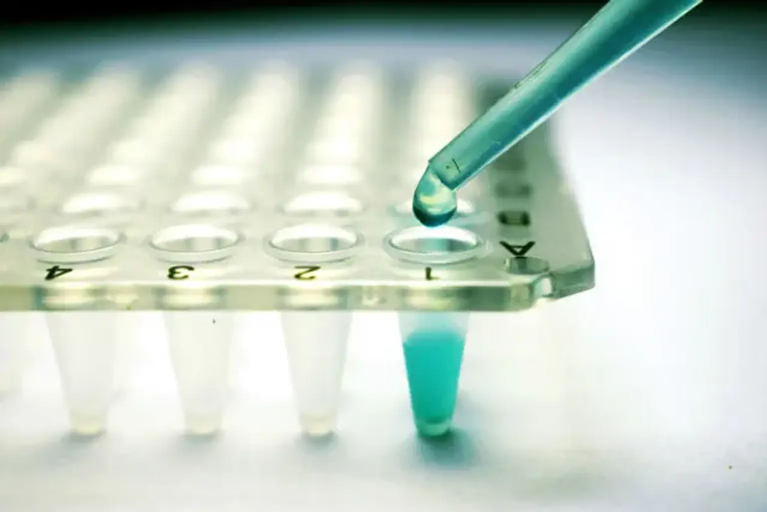 Isolation and Characterization