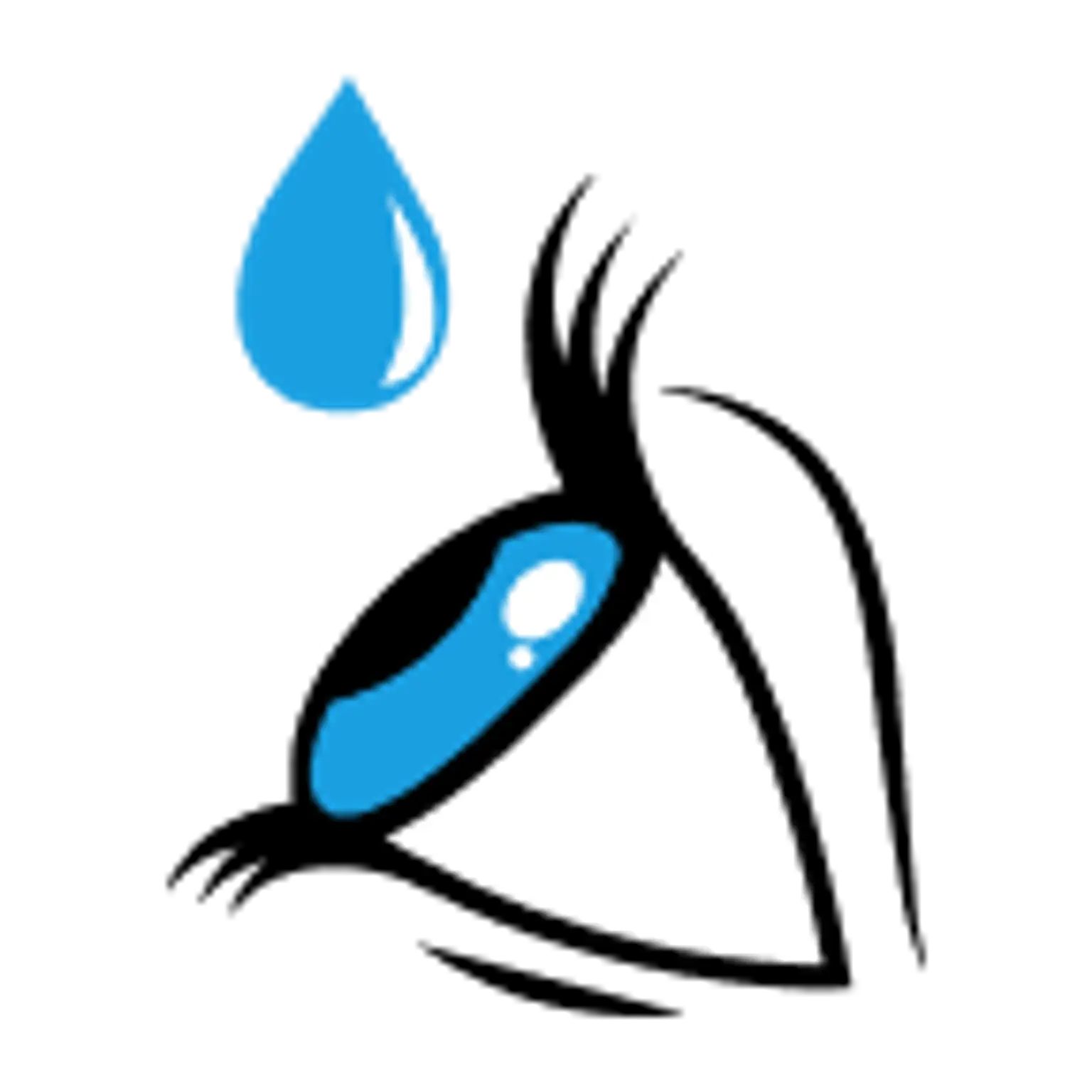 Meenakshi Eye Hospital