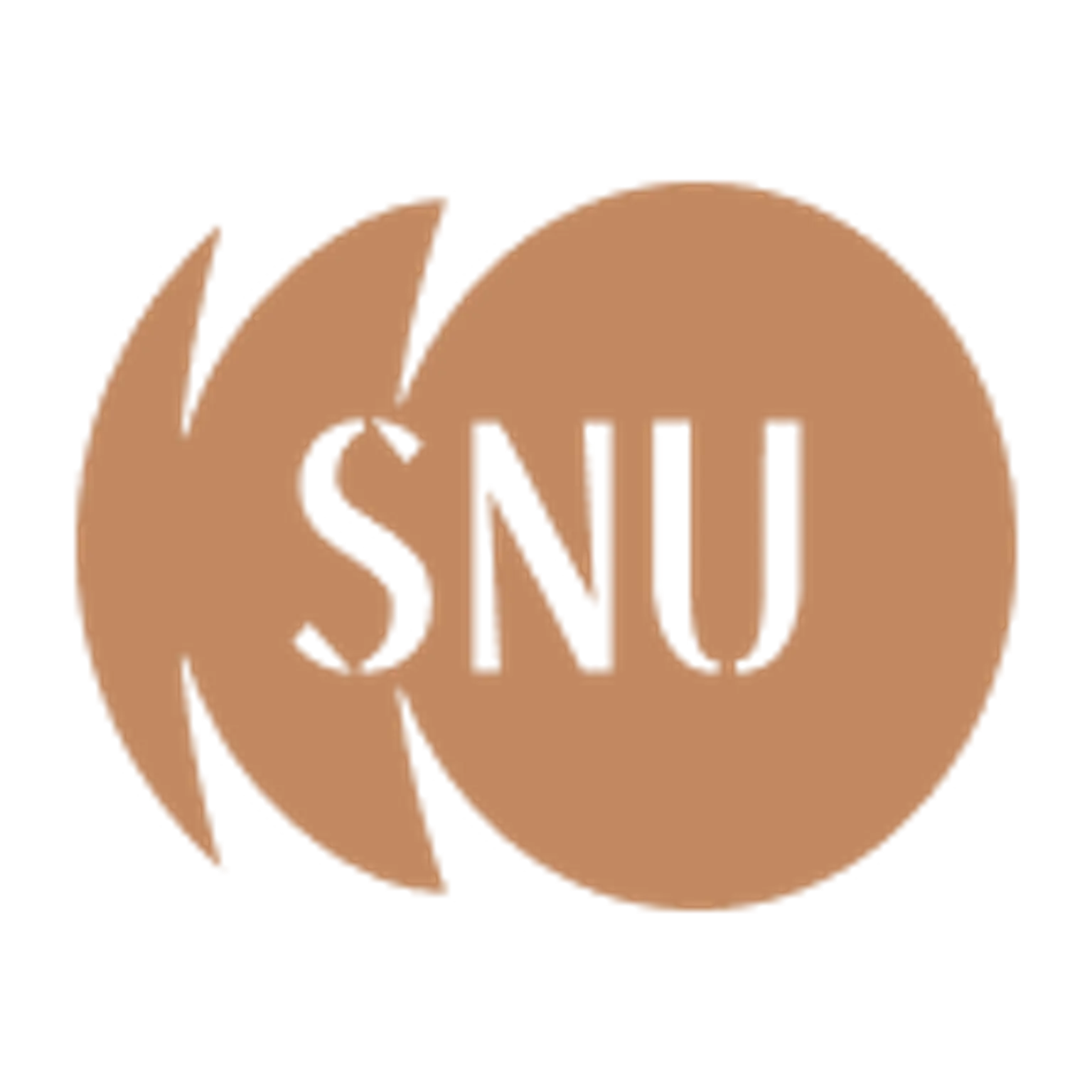 عيادة العيون SNU