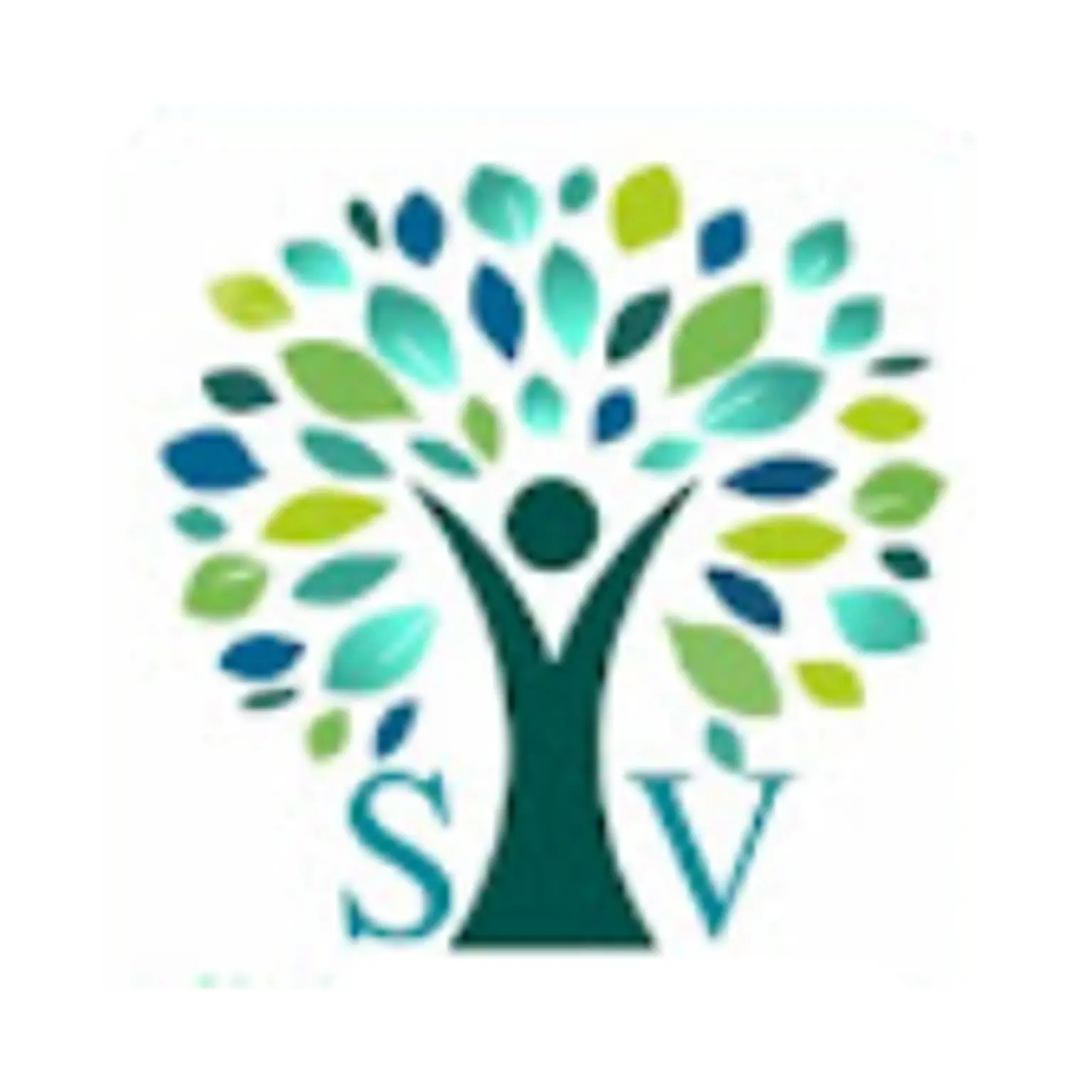Sree Vedha Clinic and Diagnostics
