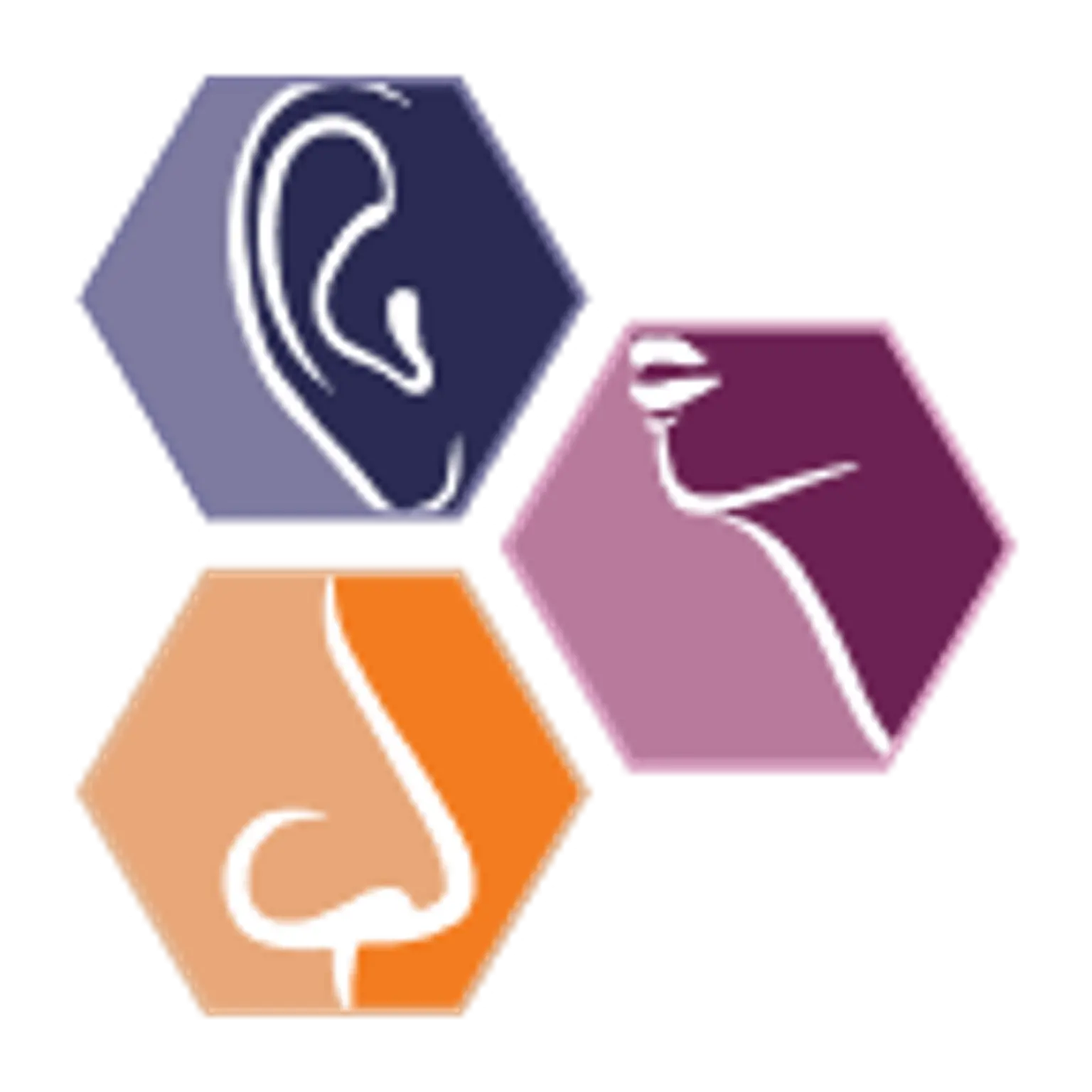 Sri Chaithanya Ent Care Center