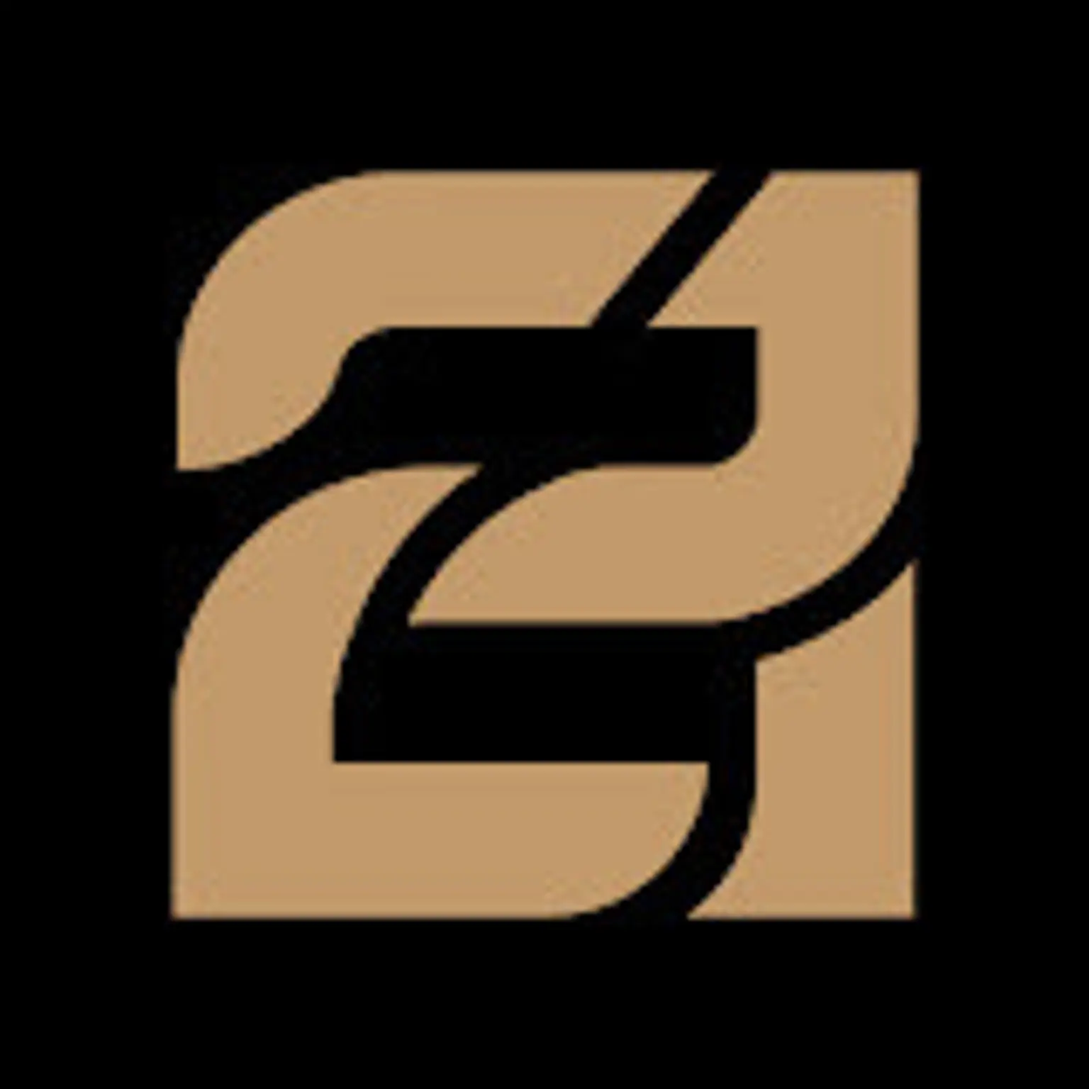 21 Plastic Surgery Clinic