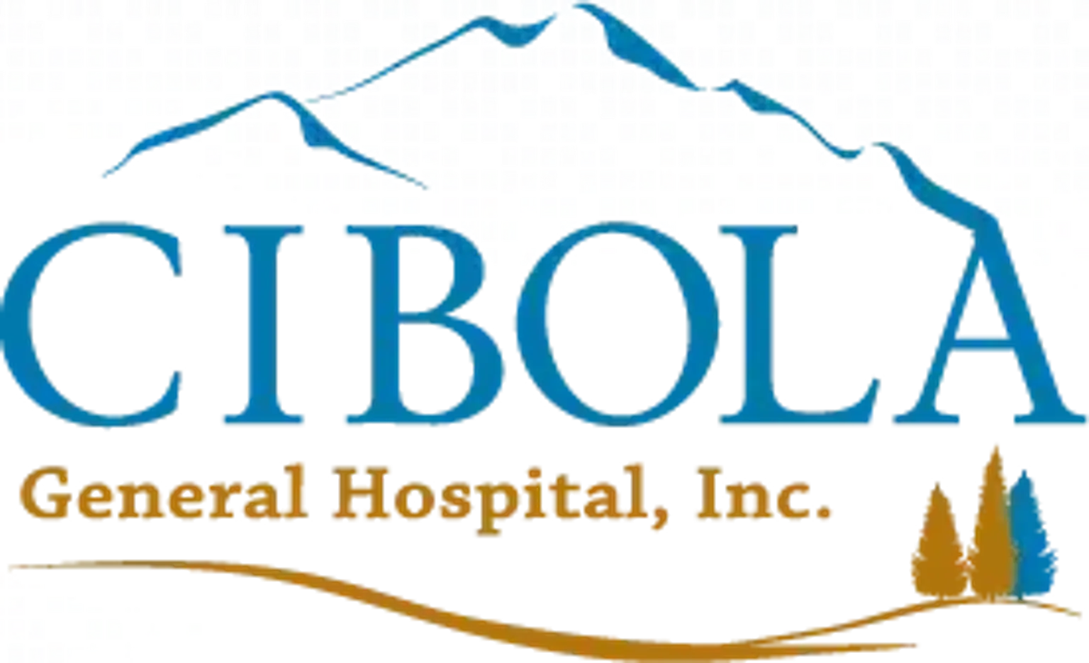 시볼라 종합병원