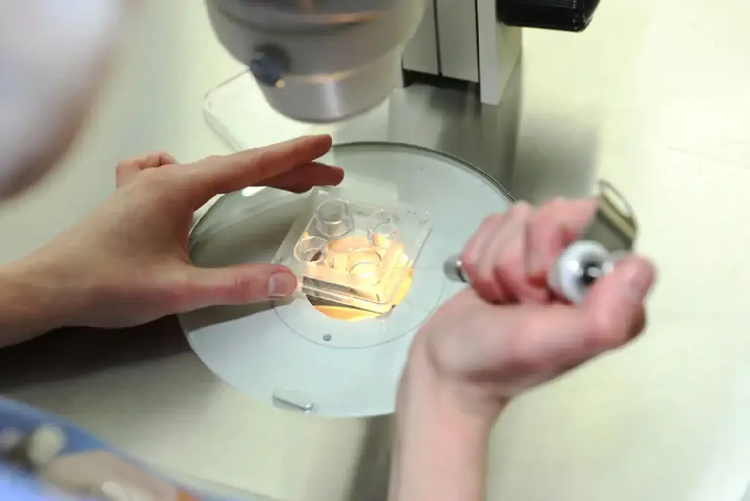 fertility-treatment