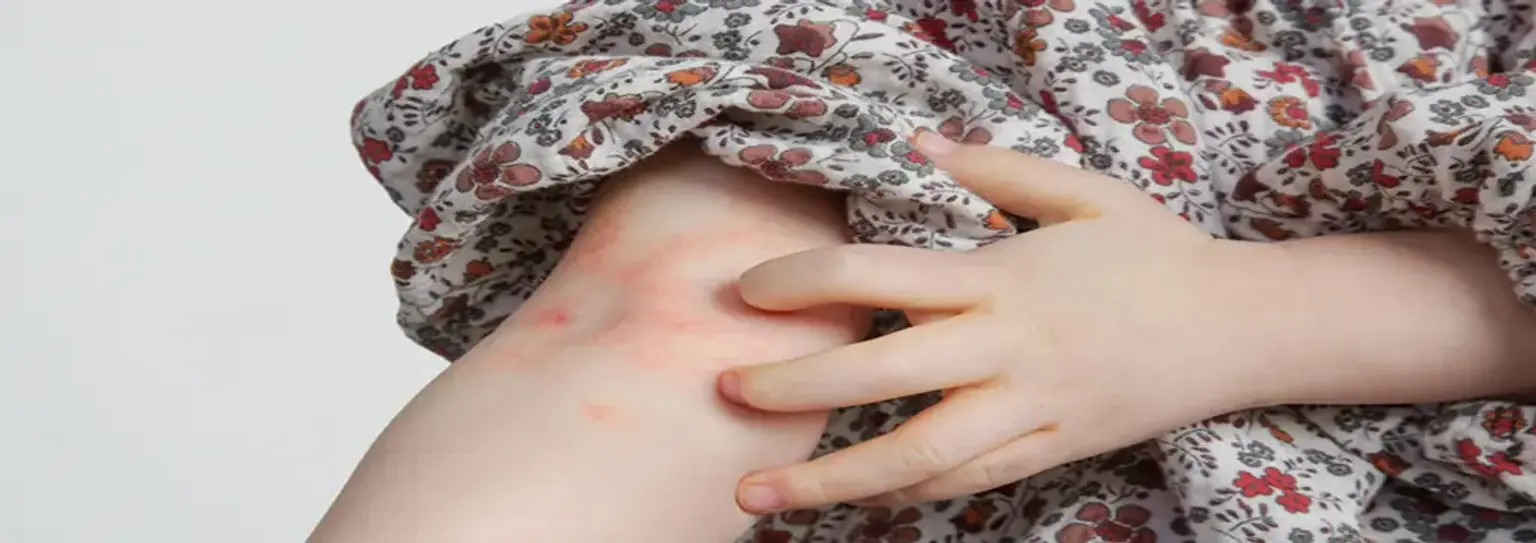 Dr. Jandrei Markus | Palmas-TO (@jandrei_markus) • Instagram photos and  videos, image size:1536x543