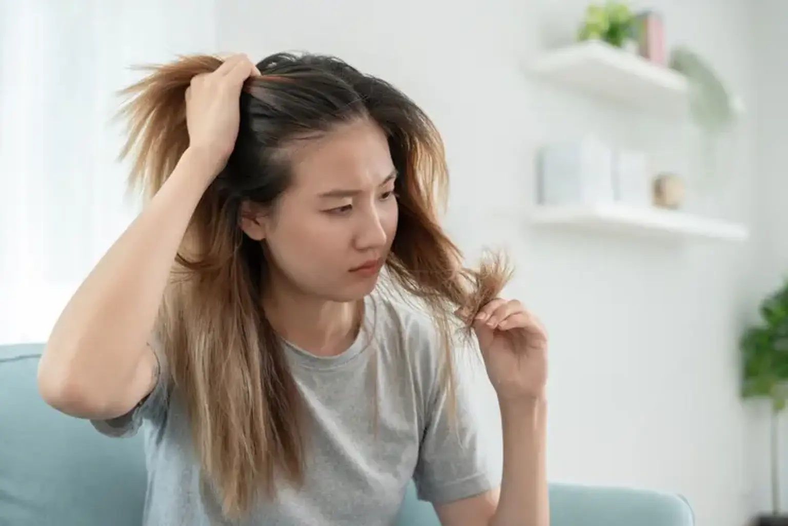 Apa yang Diharapkan dari Terapi Sel Induk untuk Restorasi Rambut Anda ...