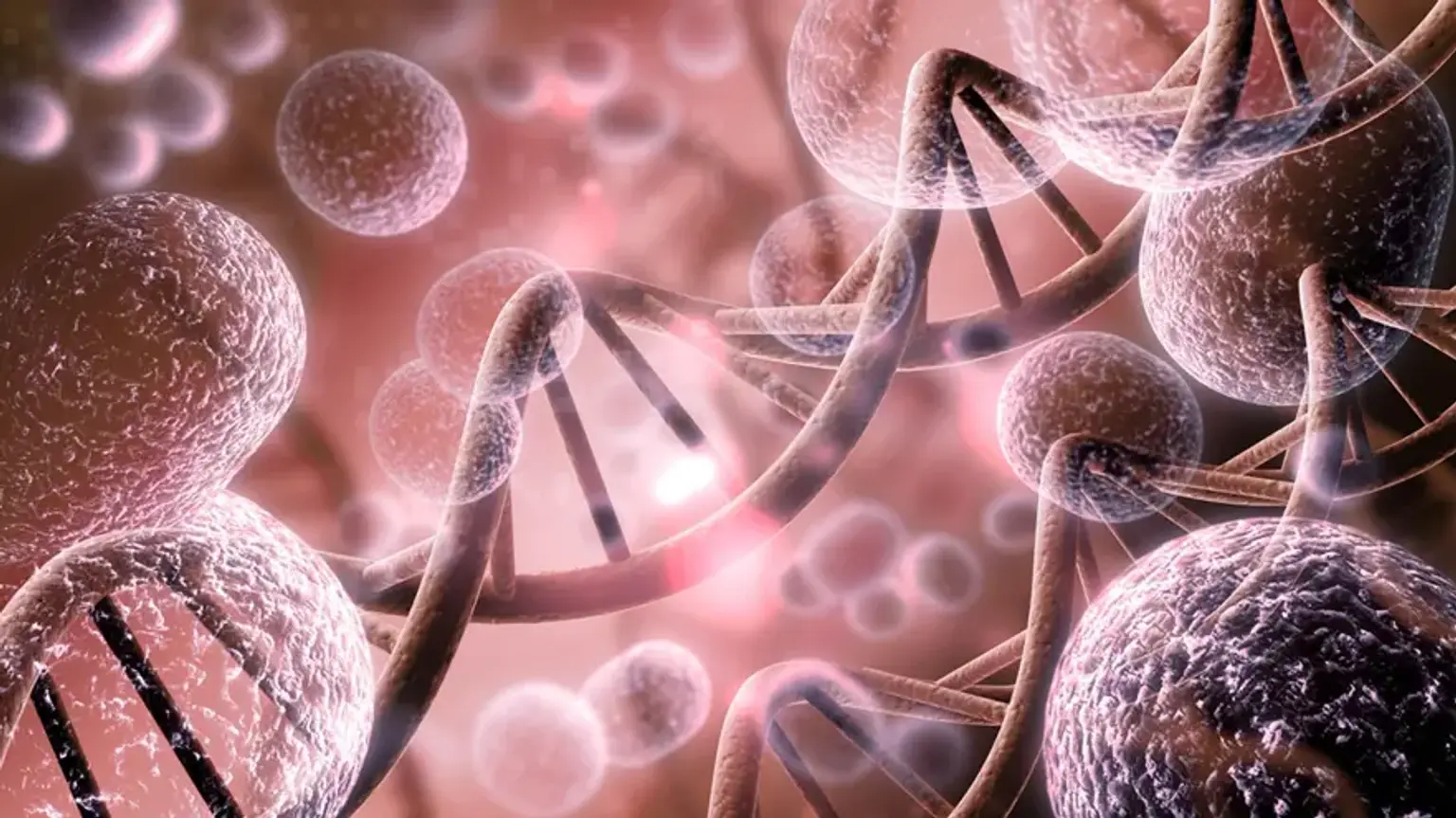 Stem cell care