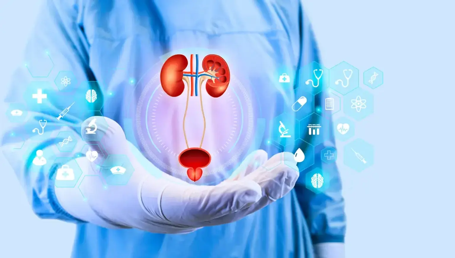 Urology image.