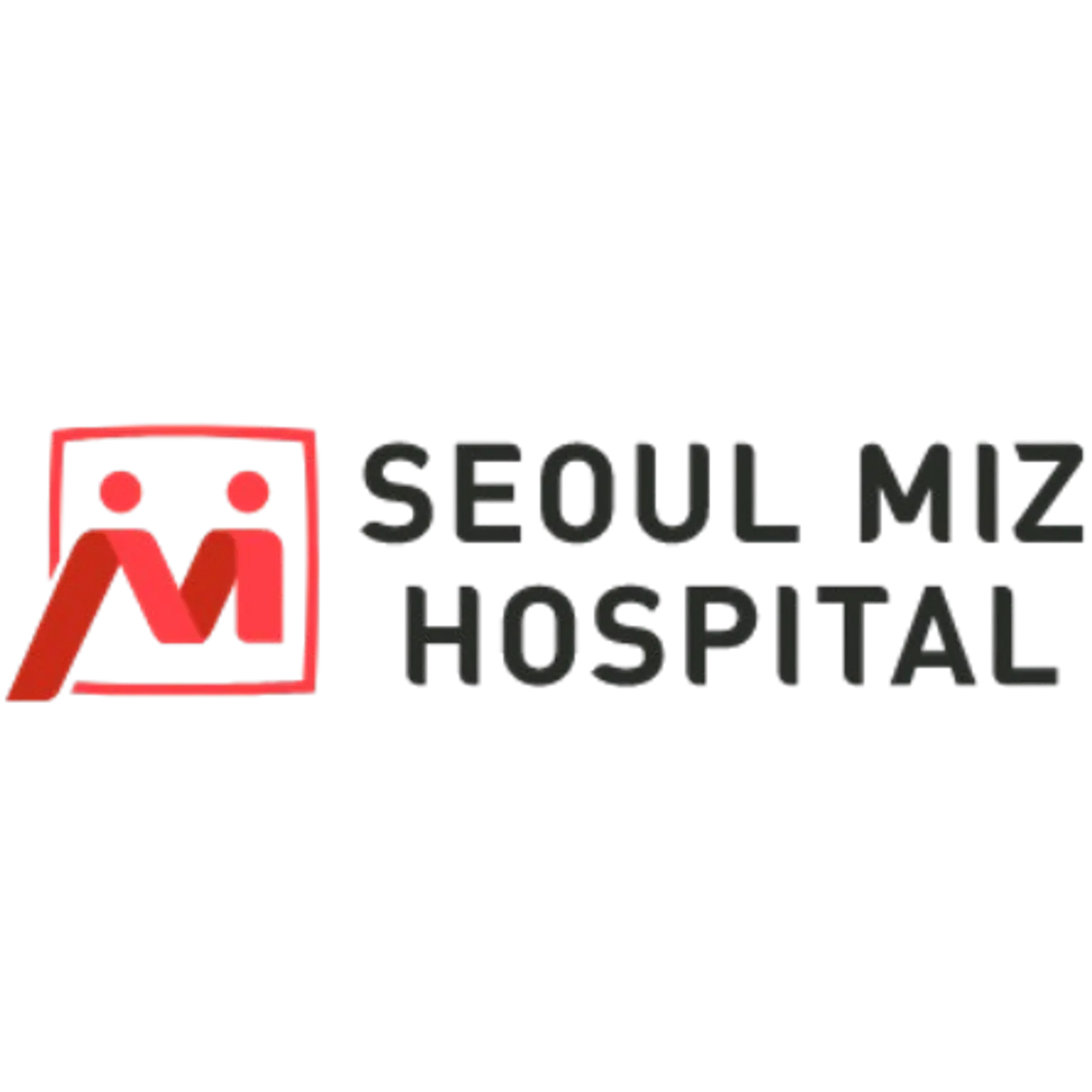 Seoul Miz Hospital