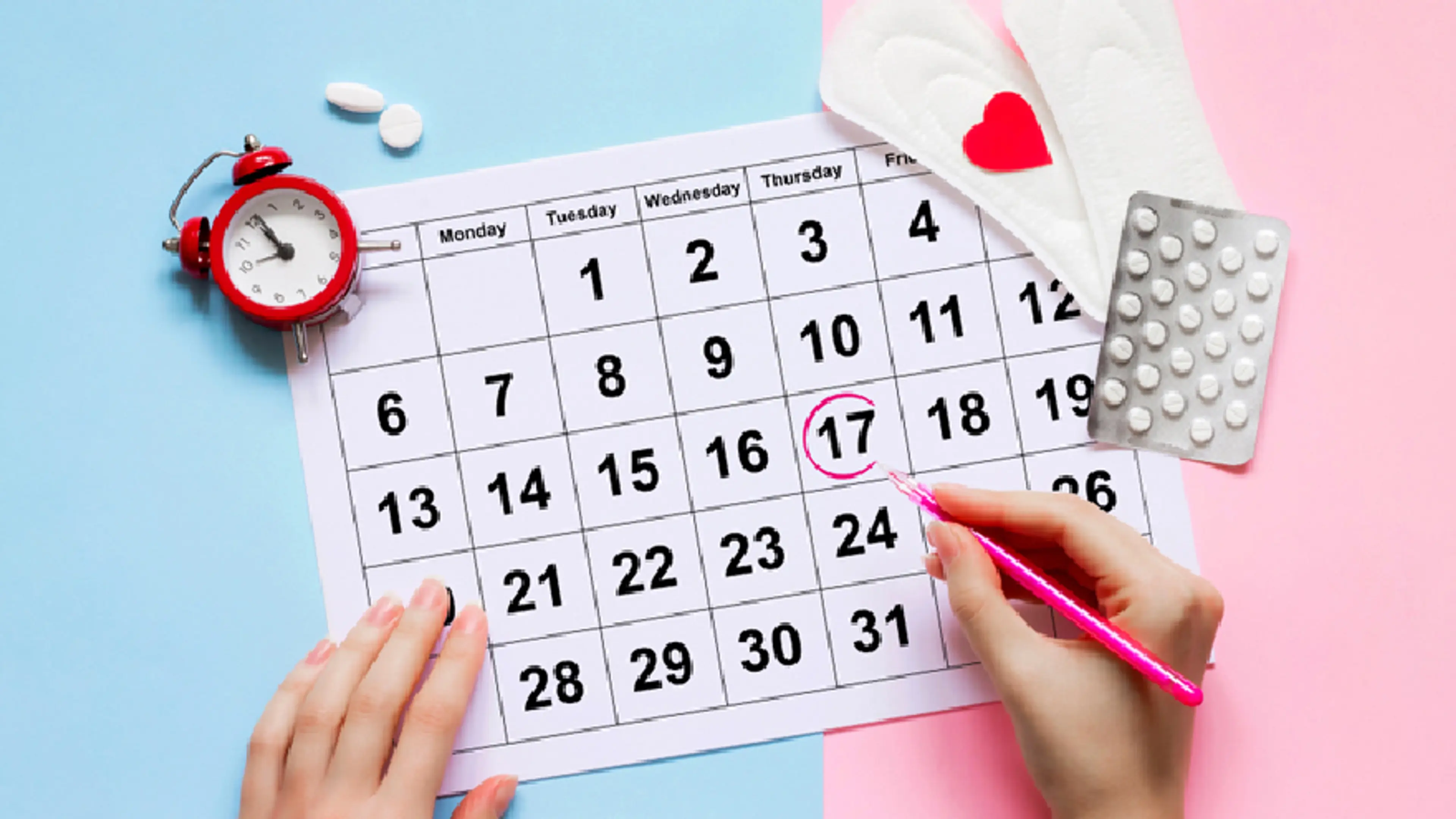 Menstrual Cycle