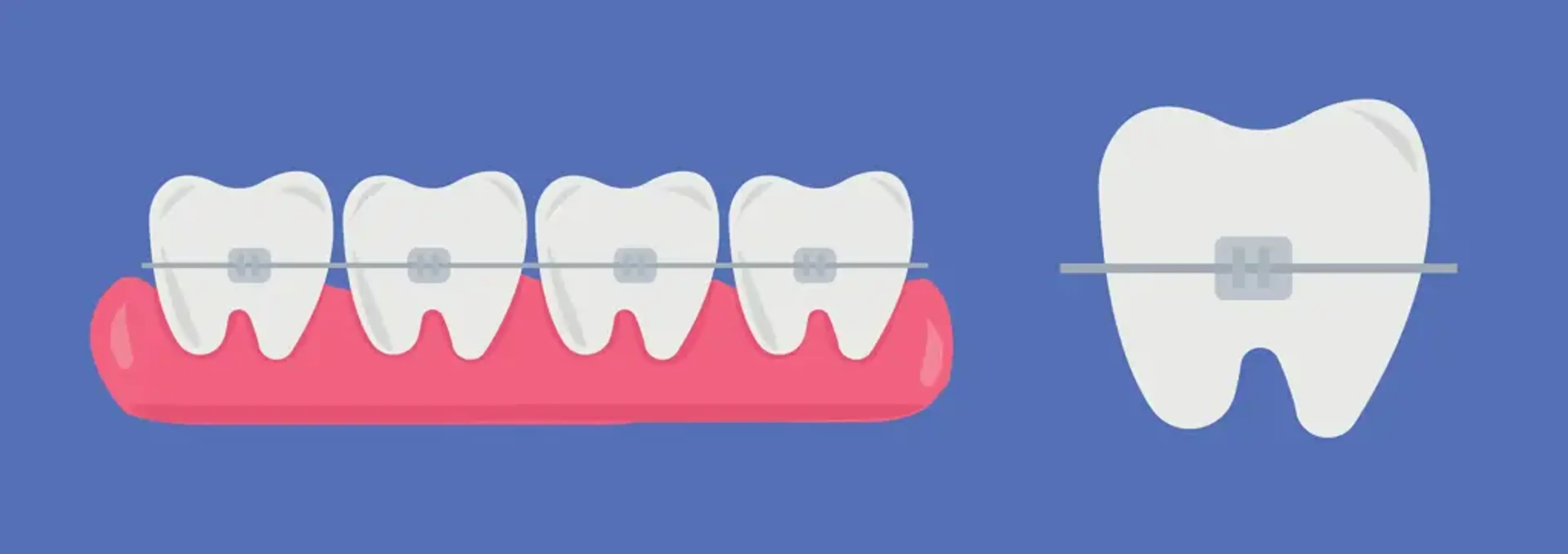 Smile View Dental