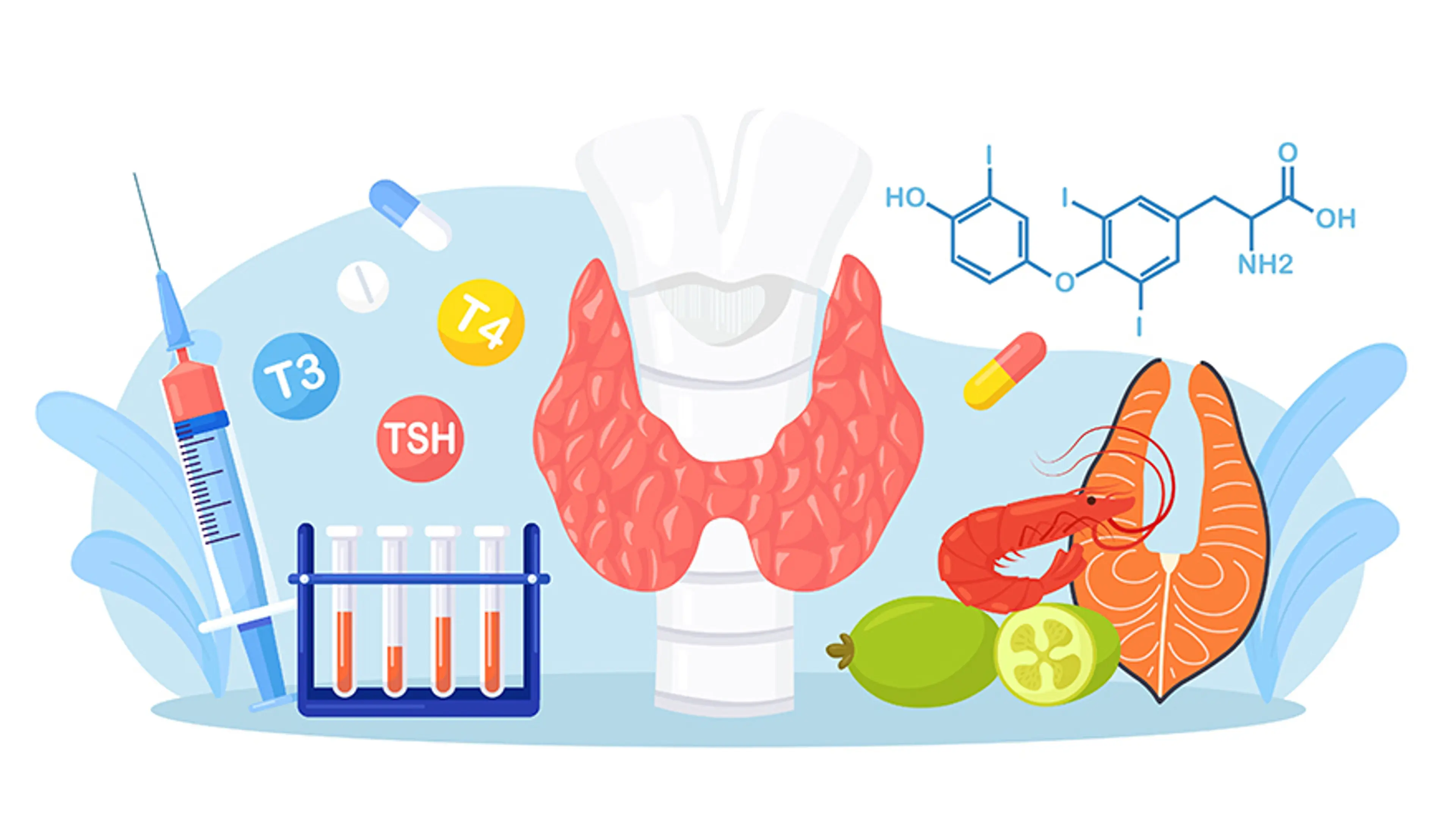 Foods & Nutrients That Support Thyroid Health