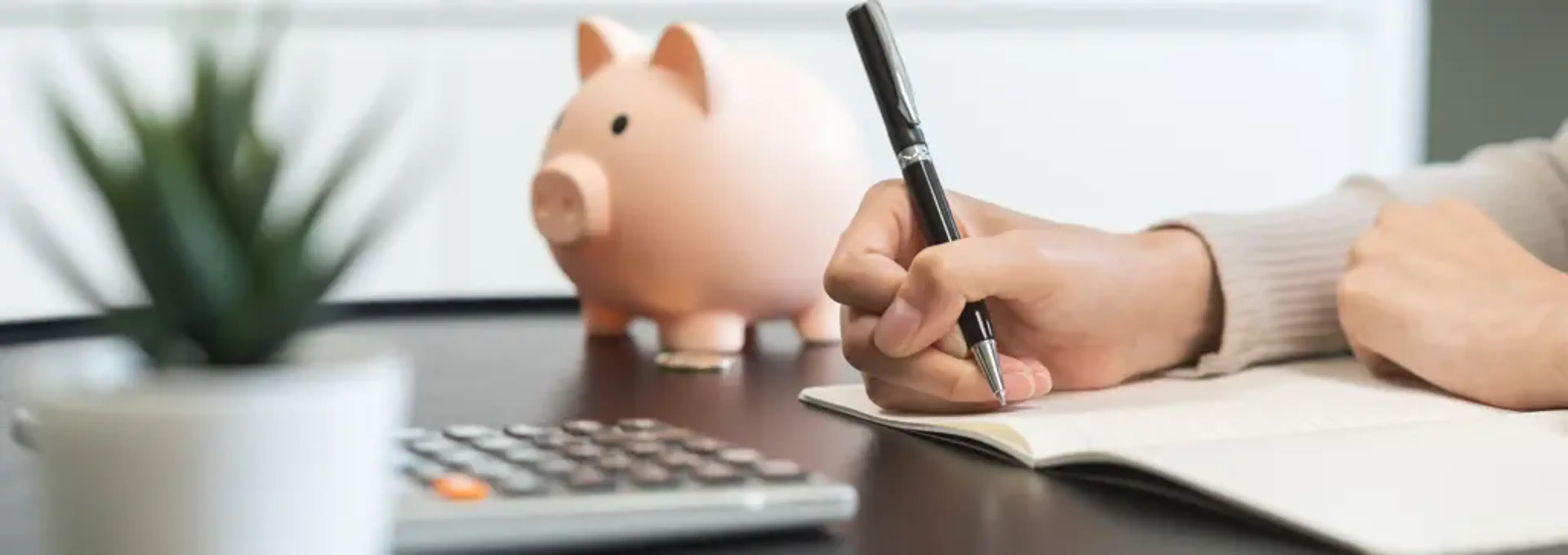 Human Plastic Surgery