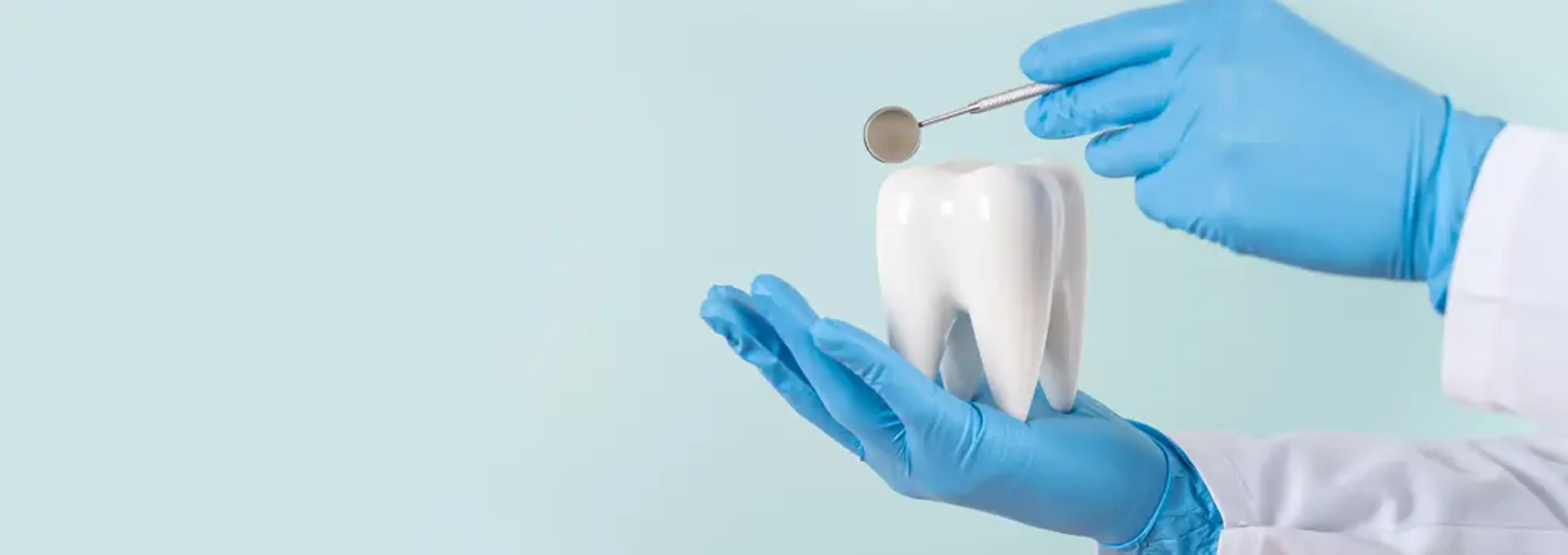 Smile View Dental
