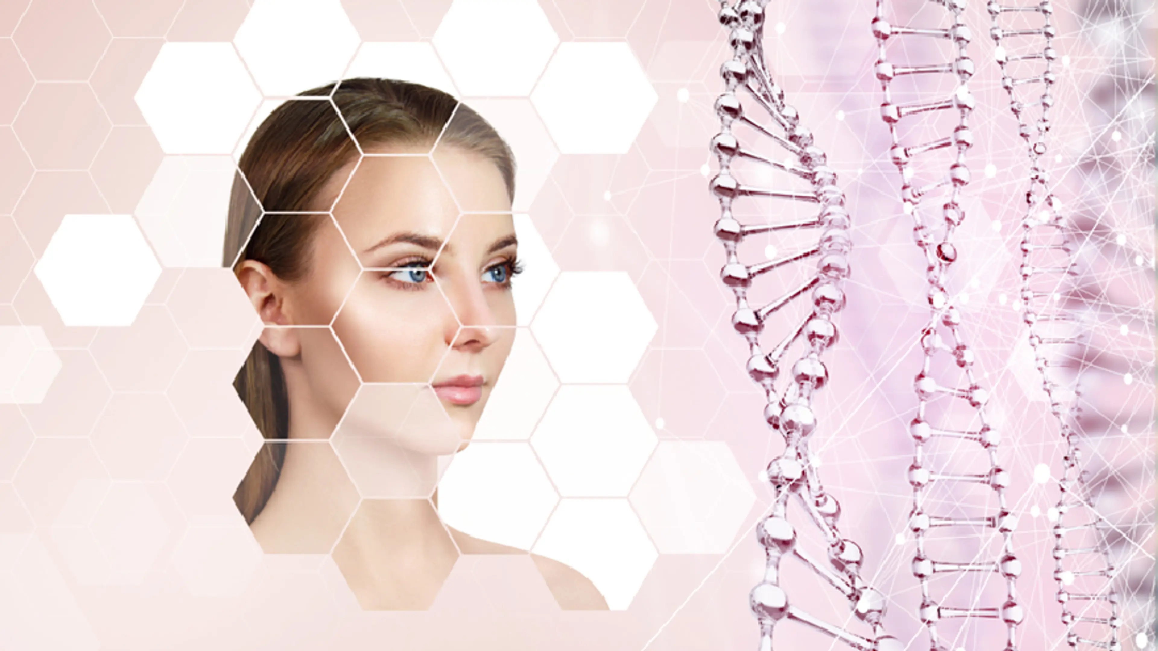 Stem Cell Rejuvenation