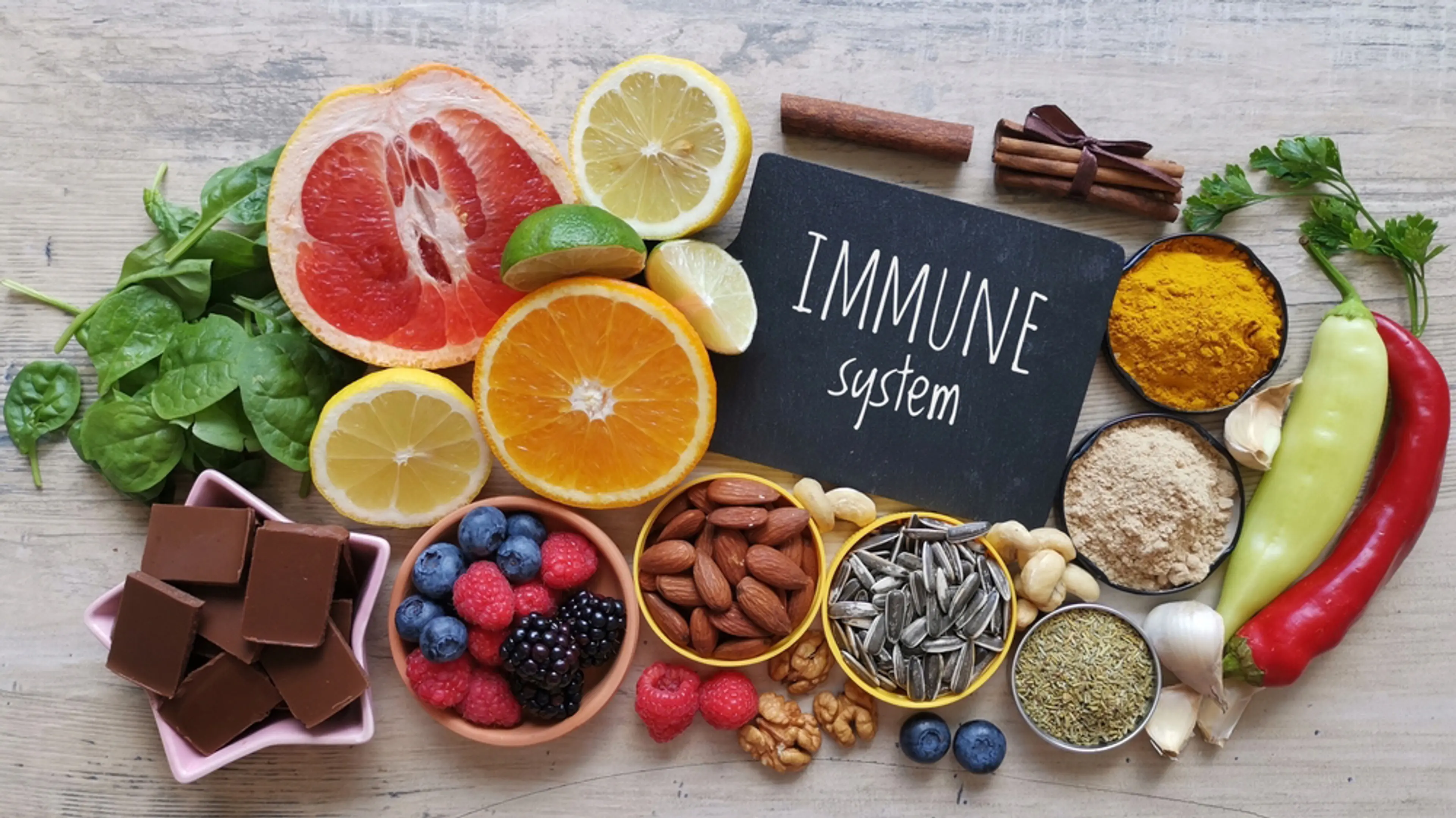 Immune System