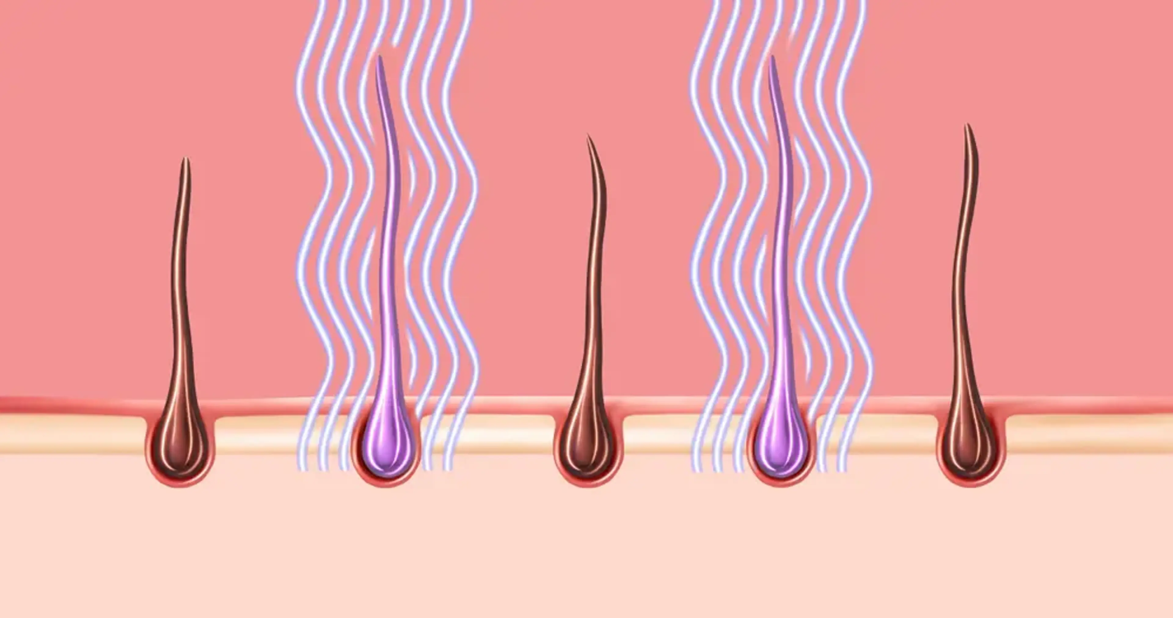 Hair renewal