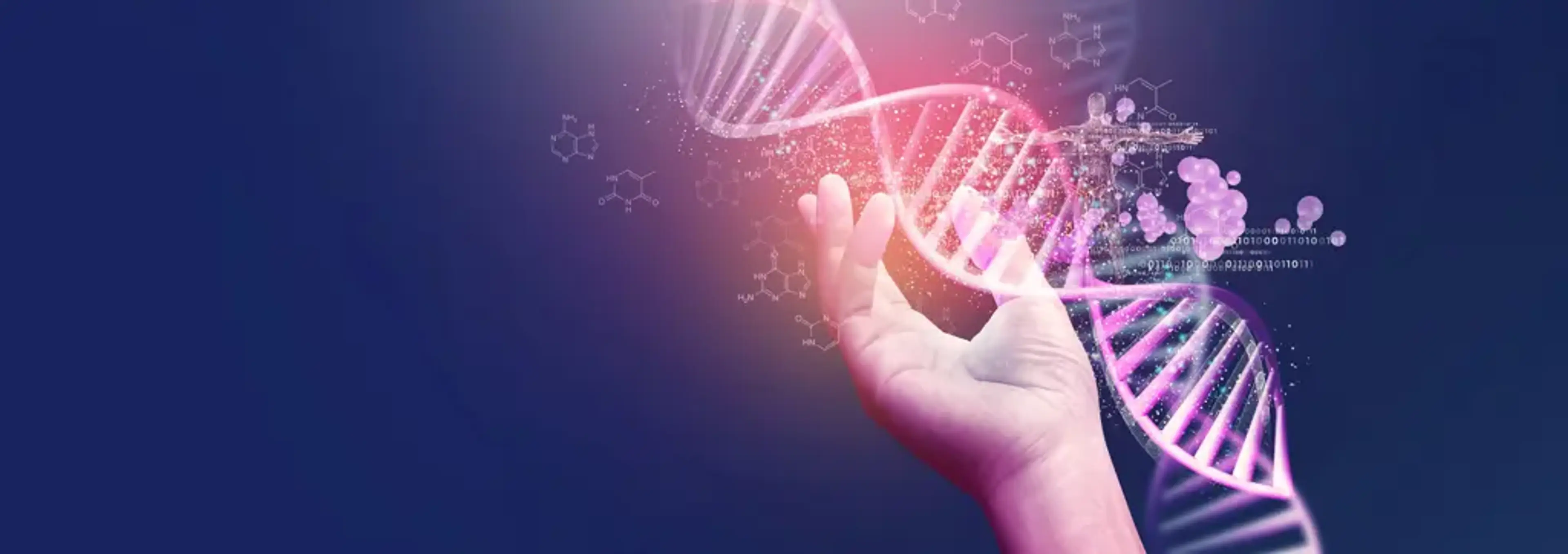 Dekabi Stem Cell Clinic