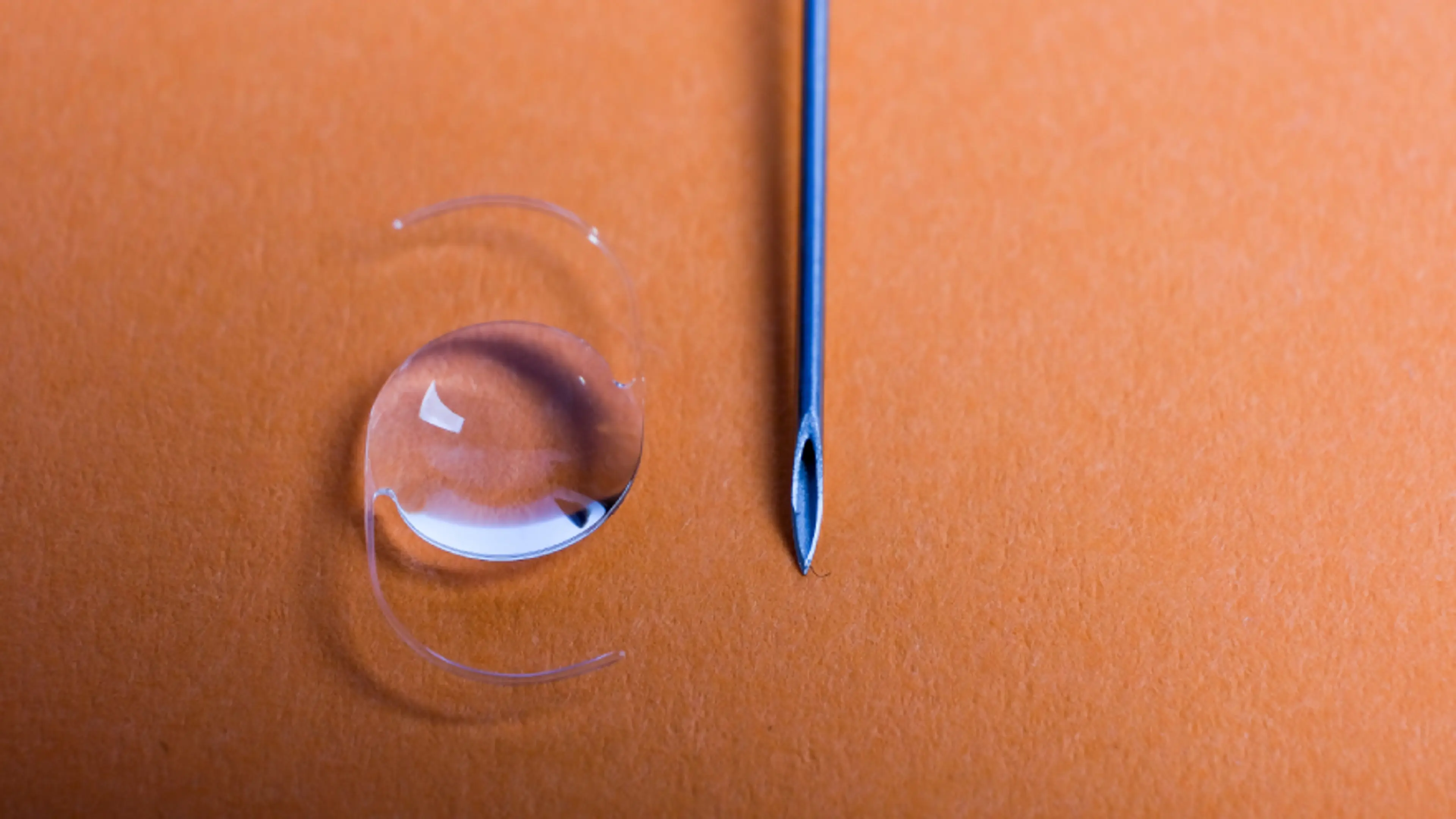 Multifocal Contact Lenses