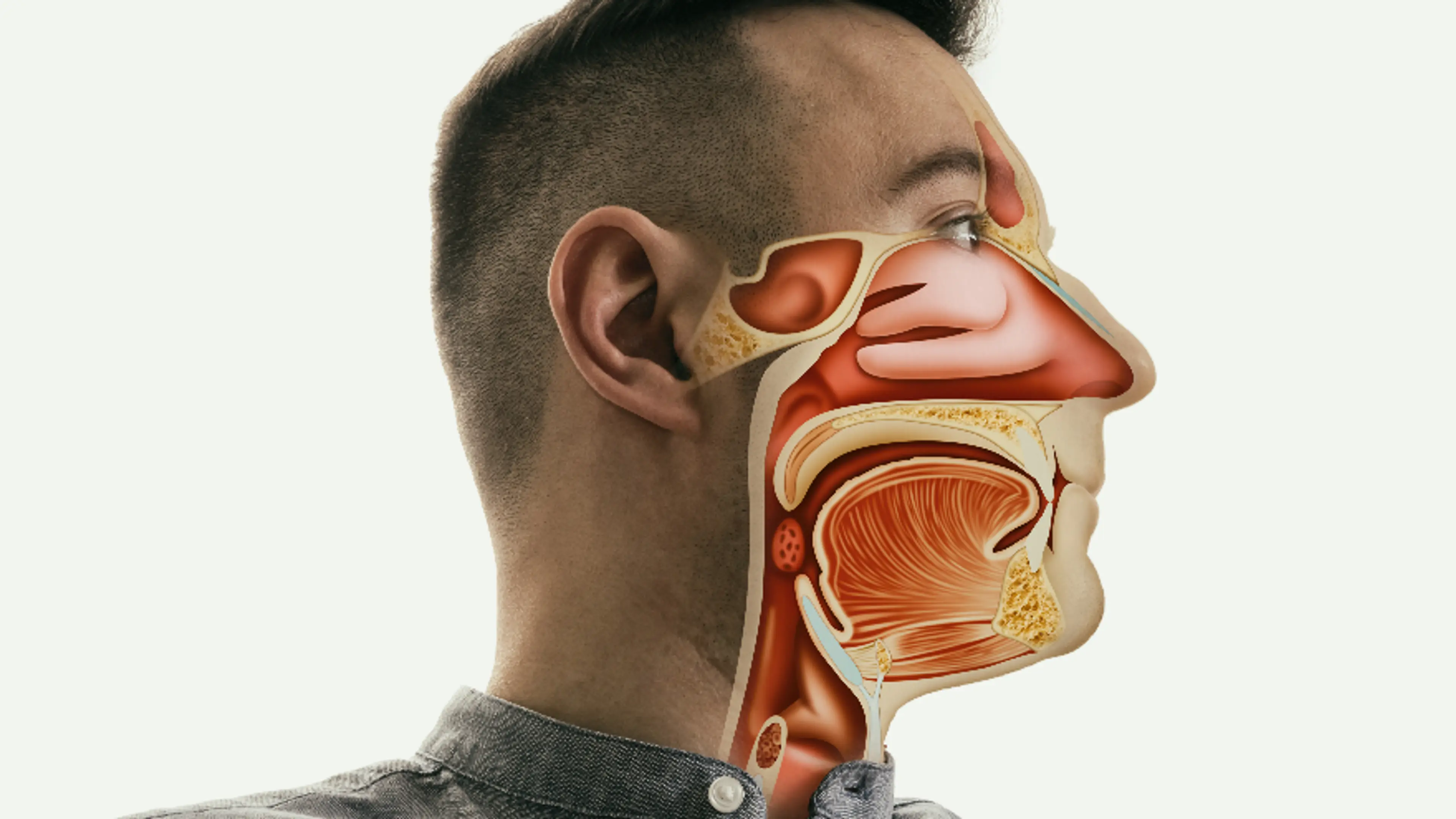 Nasal Congestion at Night?