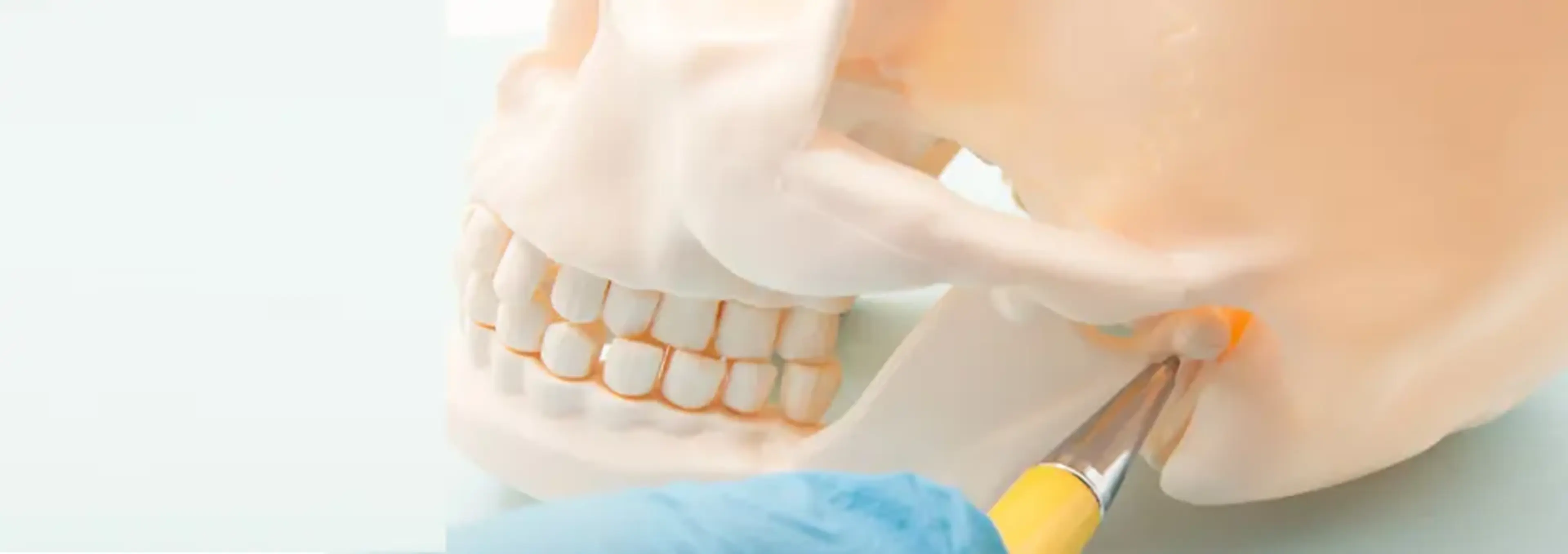 Dr. Se Hong Oh's Dental Clinic