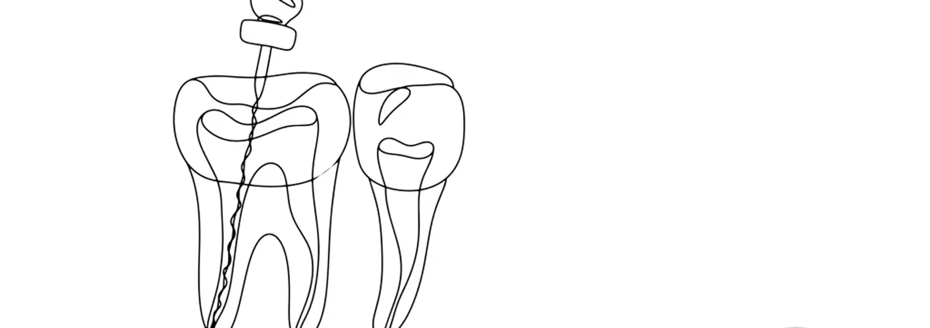 Smile View Dental