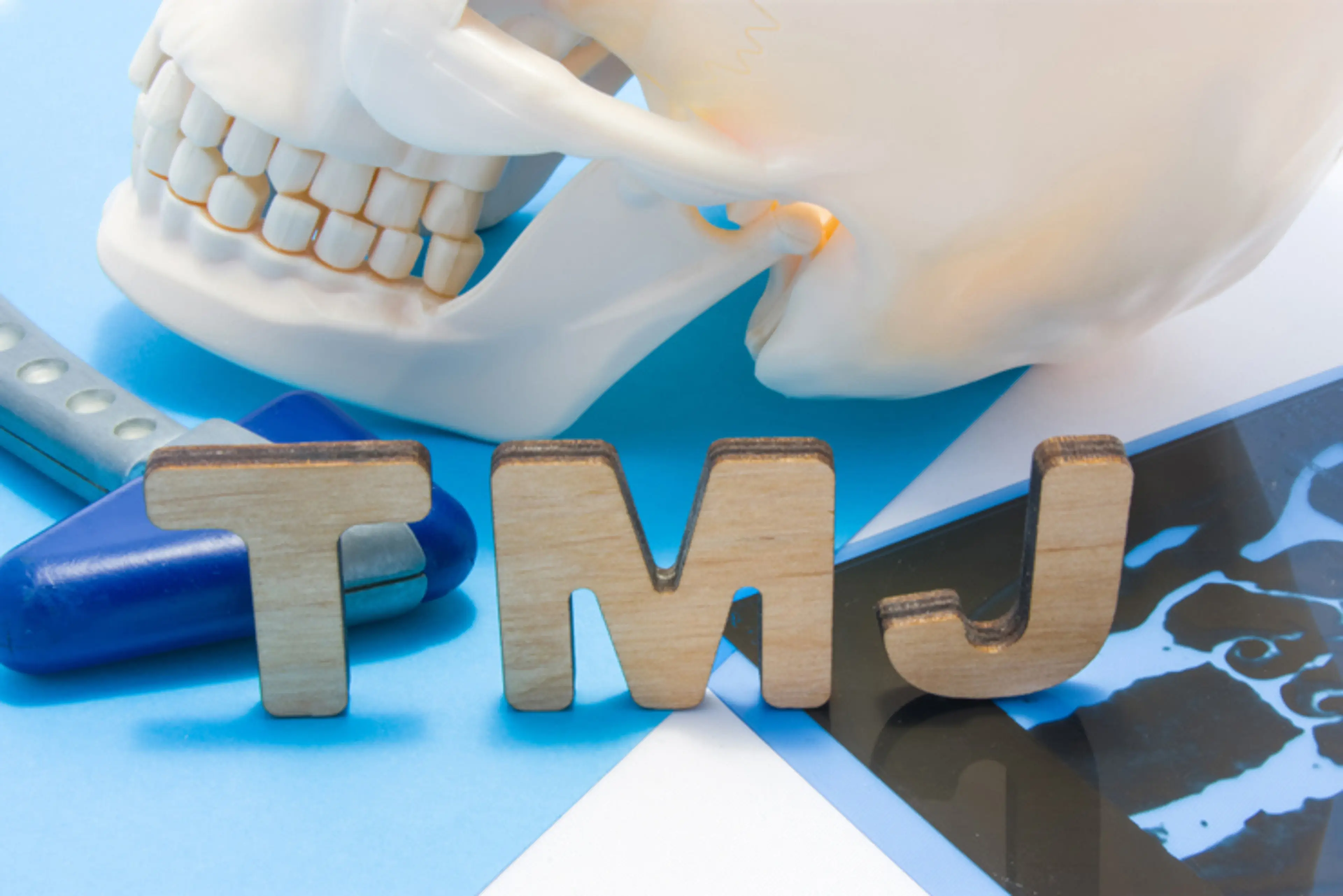 顎関節（TMJ）