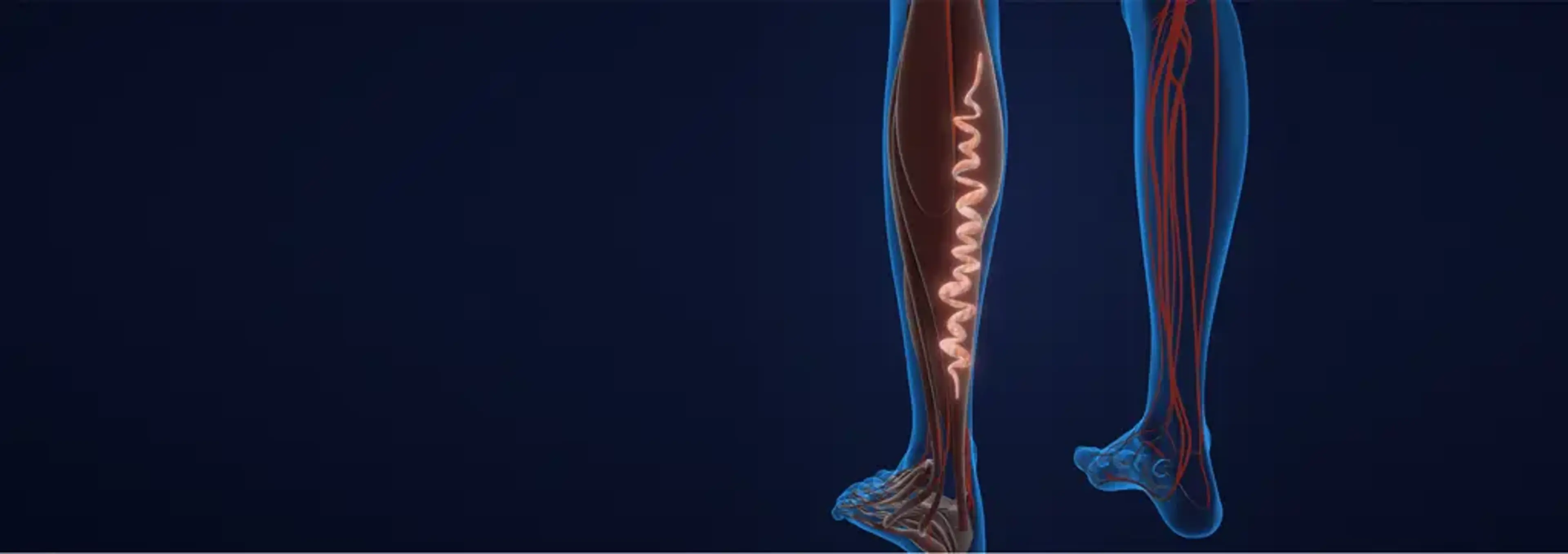 Charm Vascular Clinic