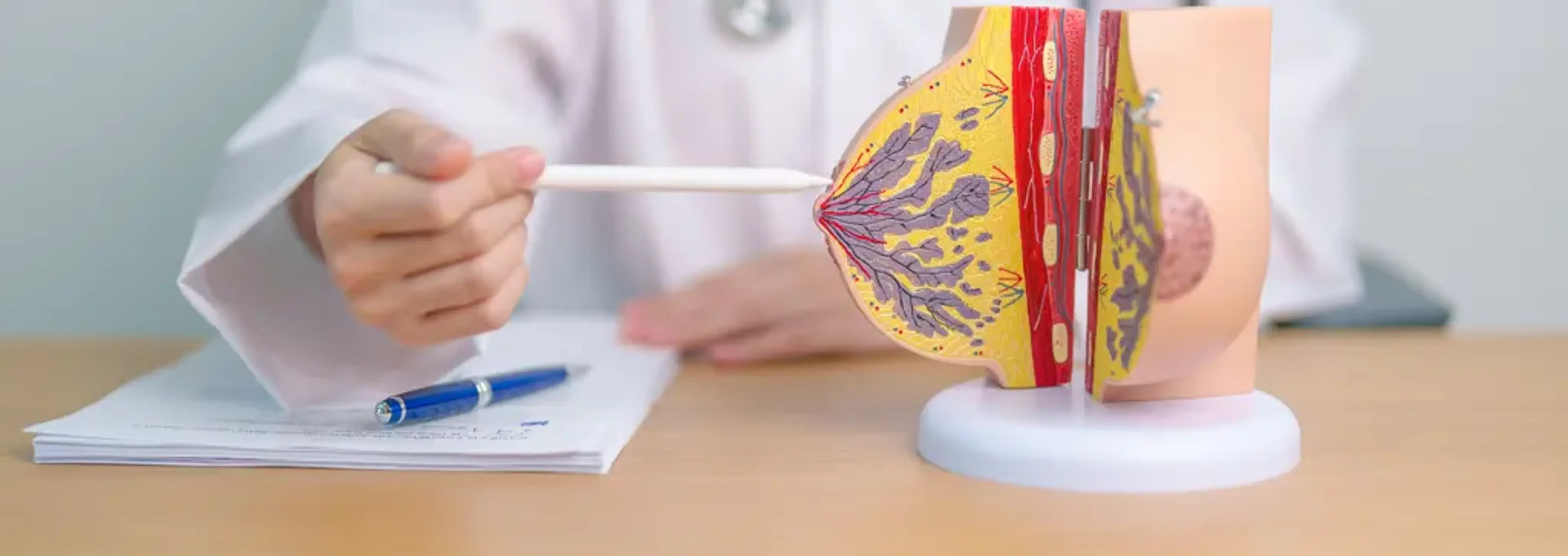 Dite Plastic Surgery