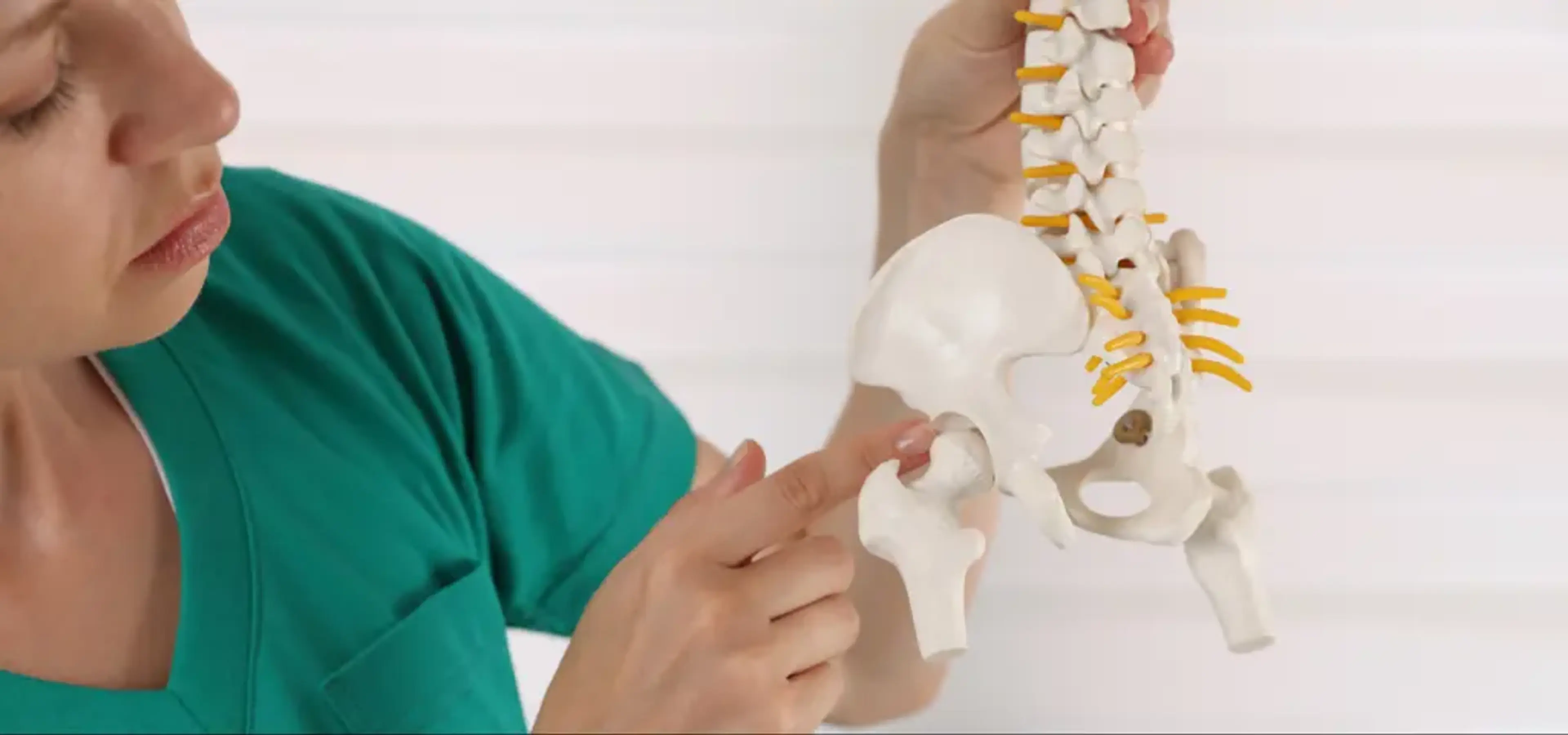 Hip Replacement Korea