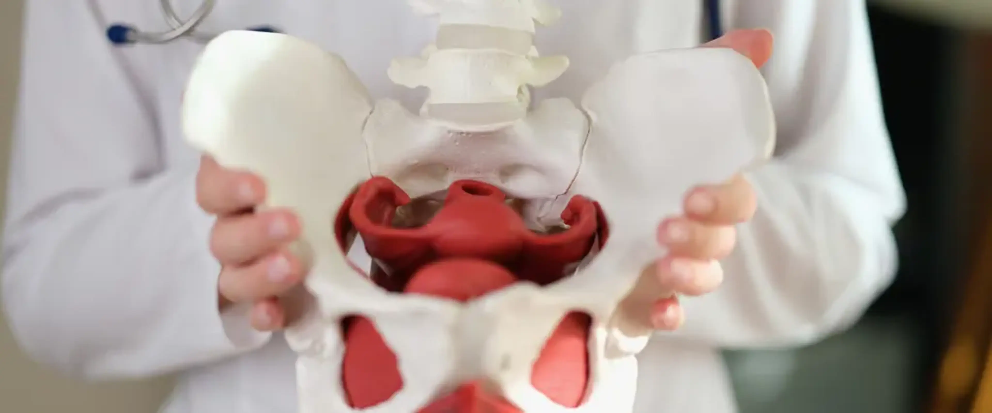 Hip Replacement Korea