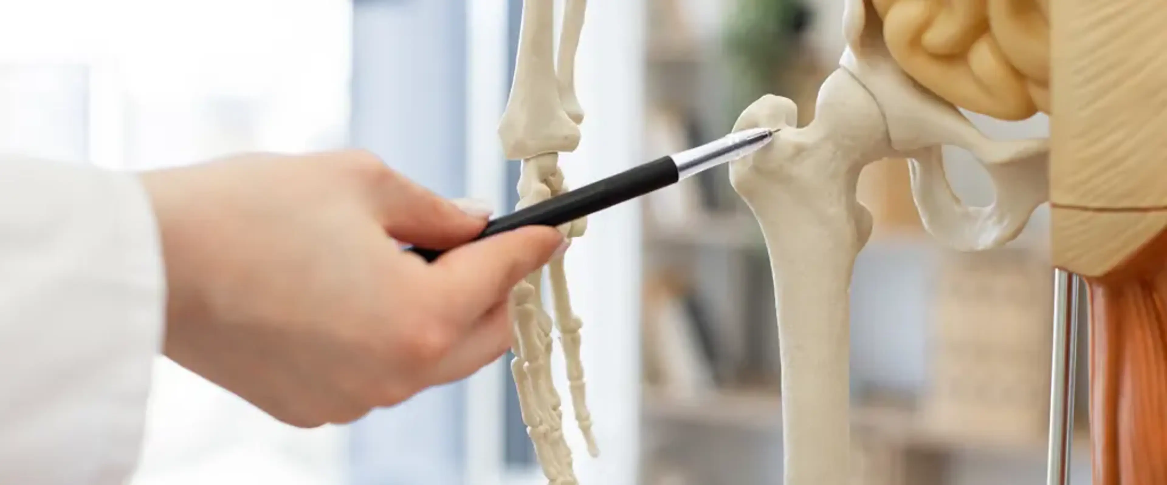 Hip Replacement Korea