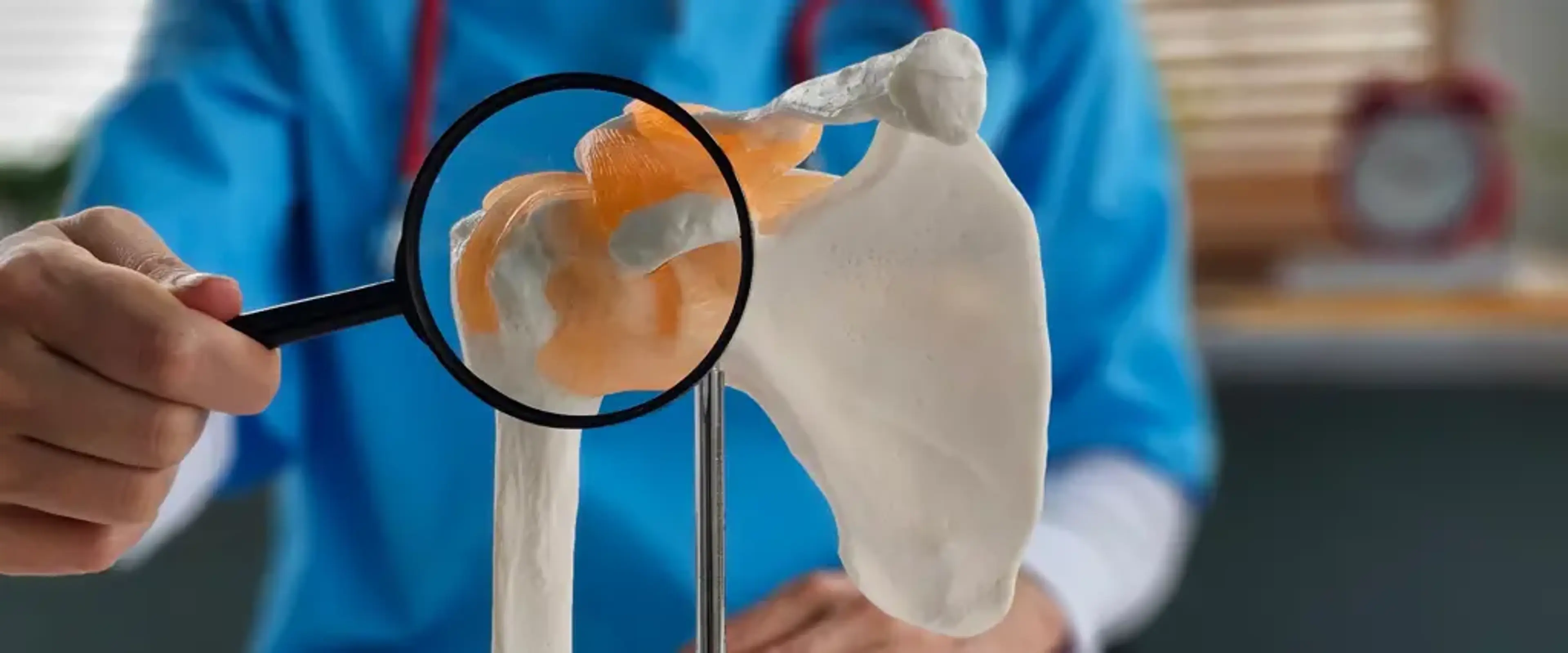 Hip Replacement Korea